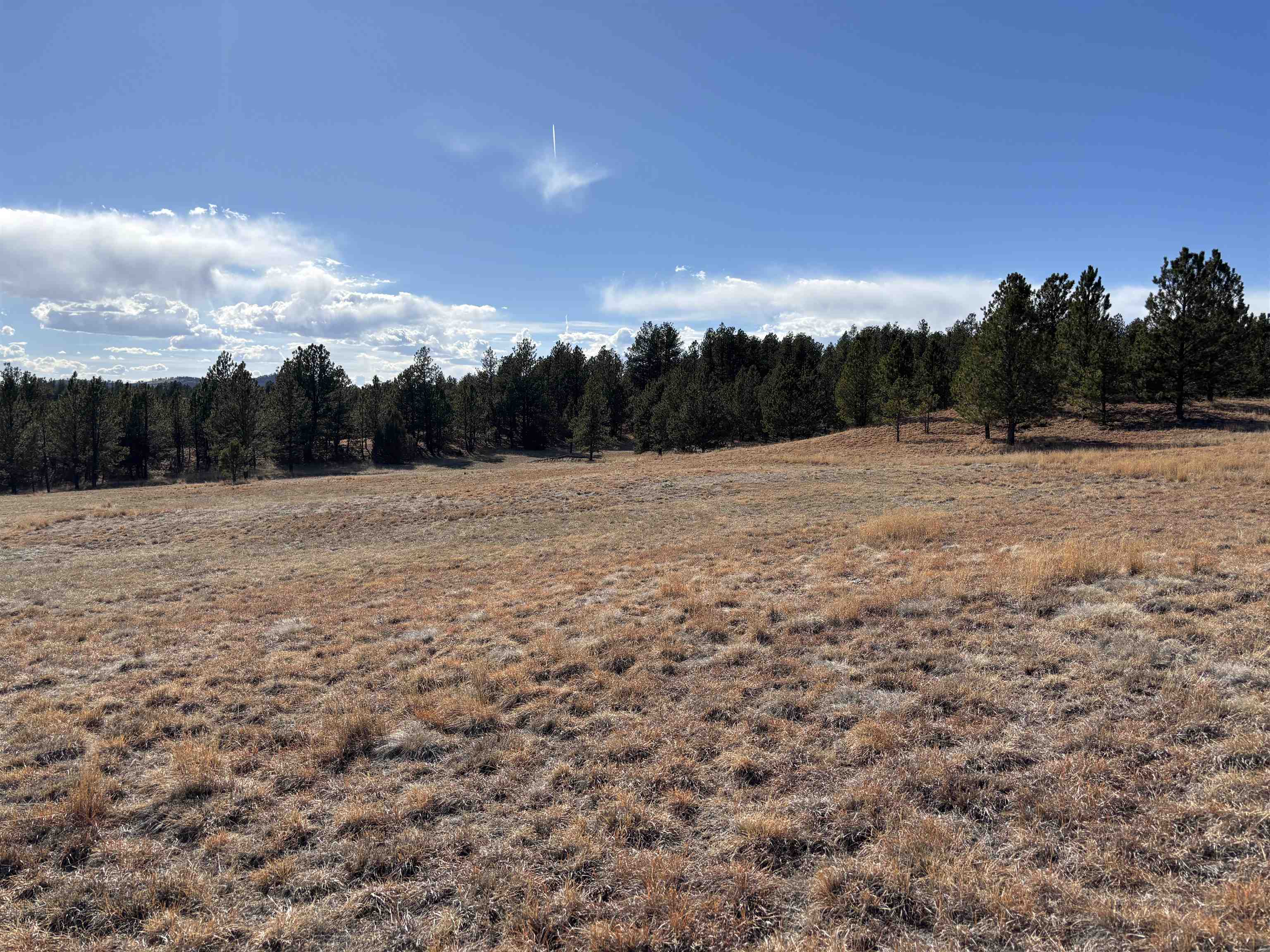 Tract 74 Turkey Trail