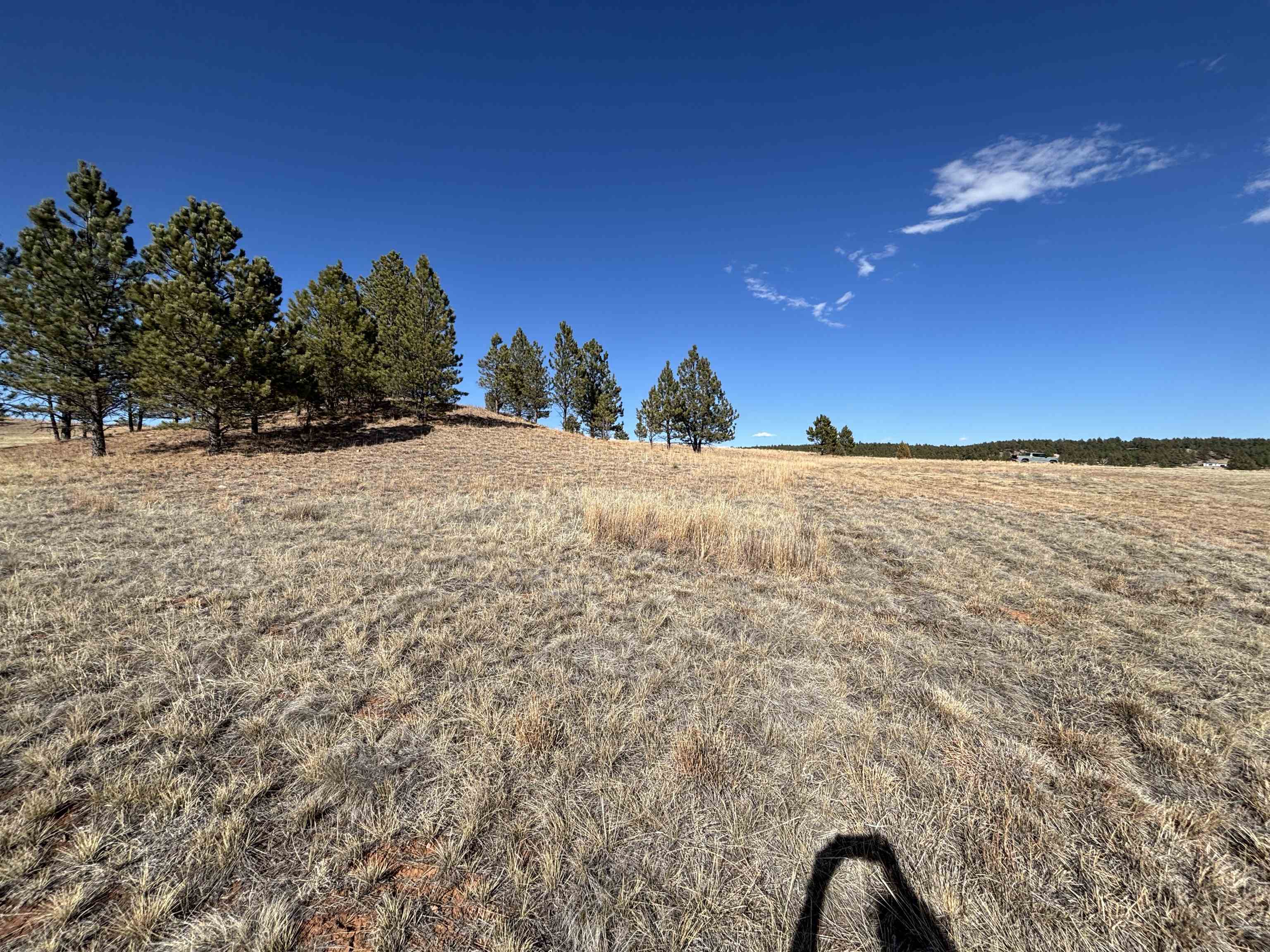 Tract 74 Turkey Trail