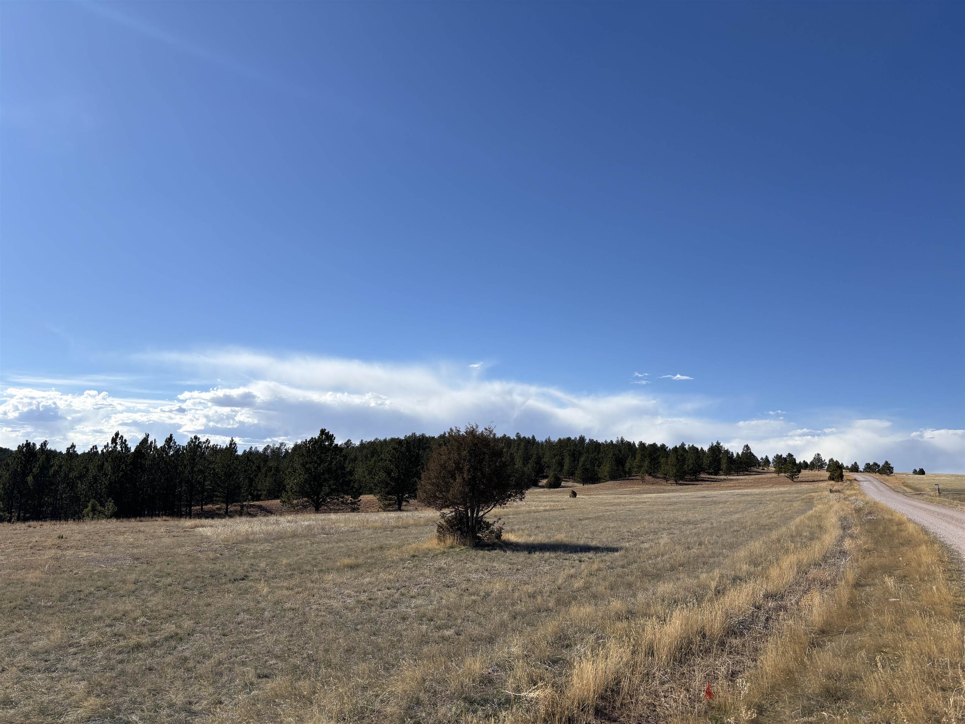 Tract 74 Turkey Trail