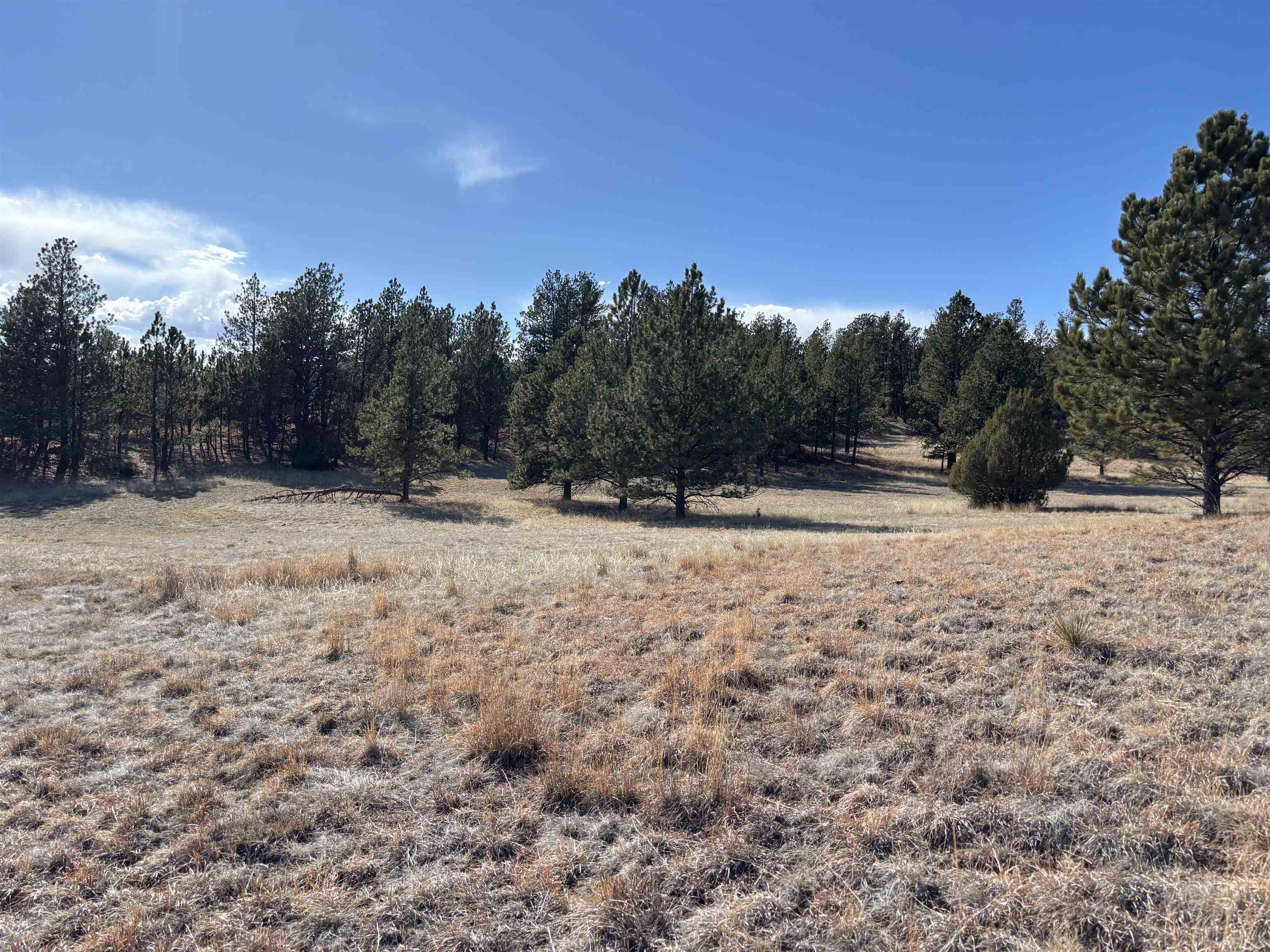 Tract 74 Turkey Trail