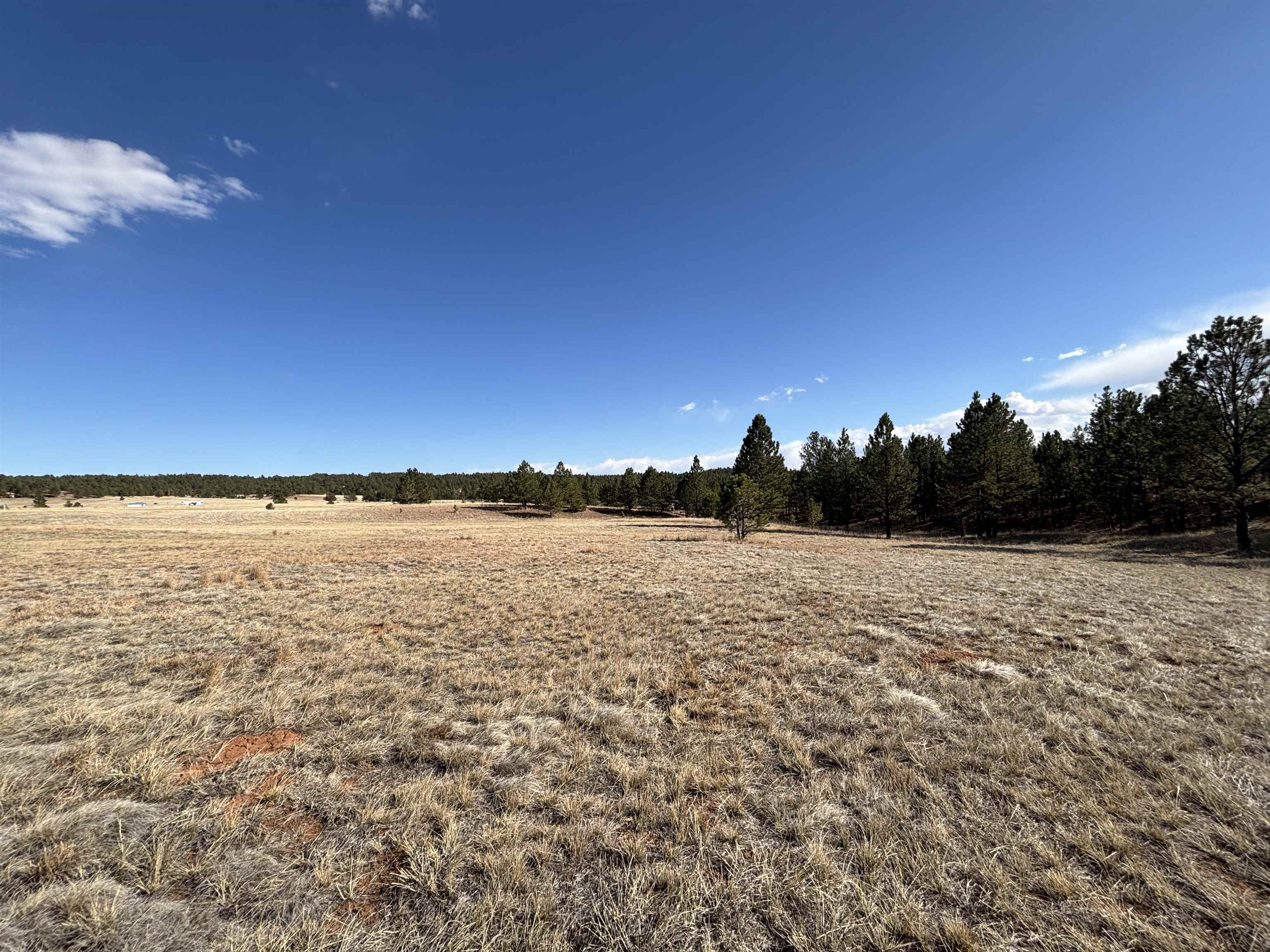 Tract 74 Turkey Trail