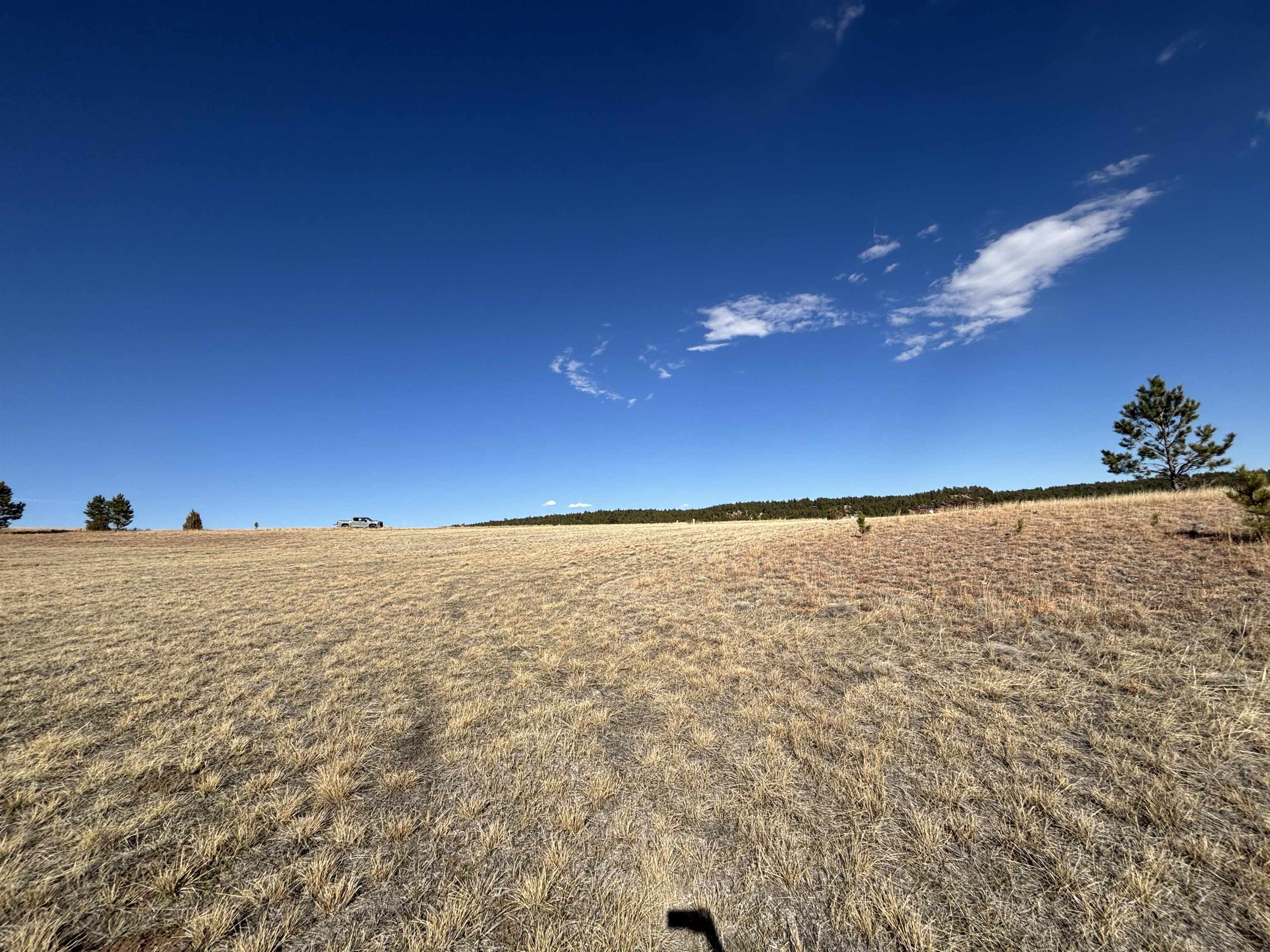 Tract 74 Turkey Trail