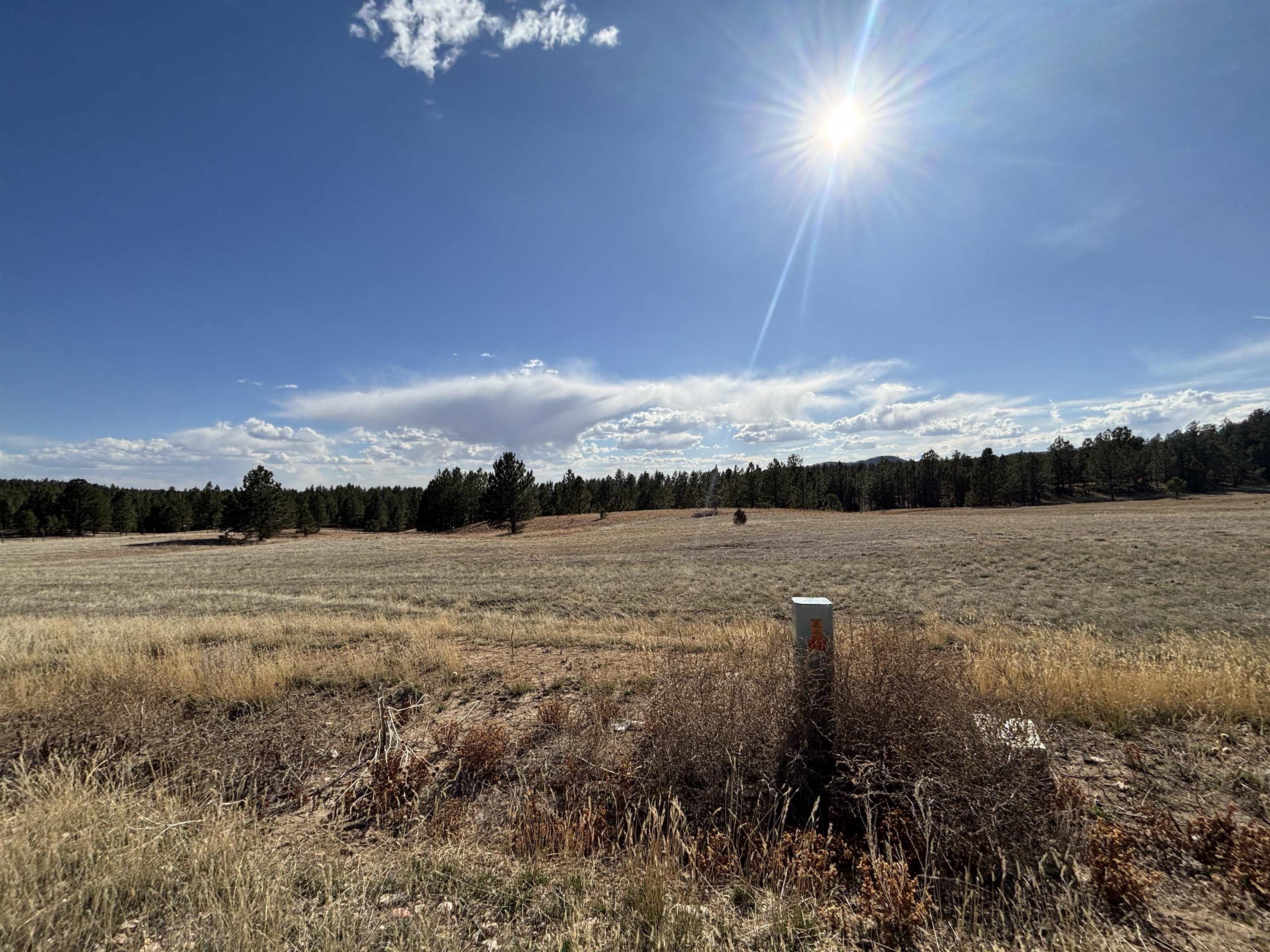 Tract 74 Turkey Trail