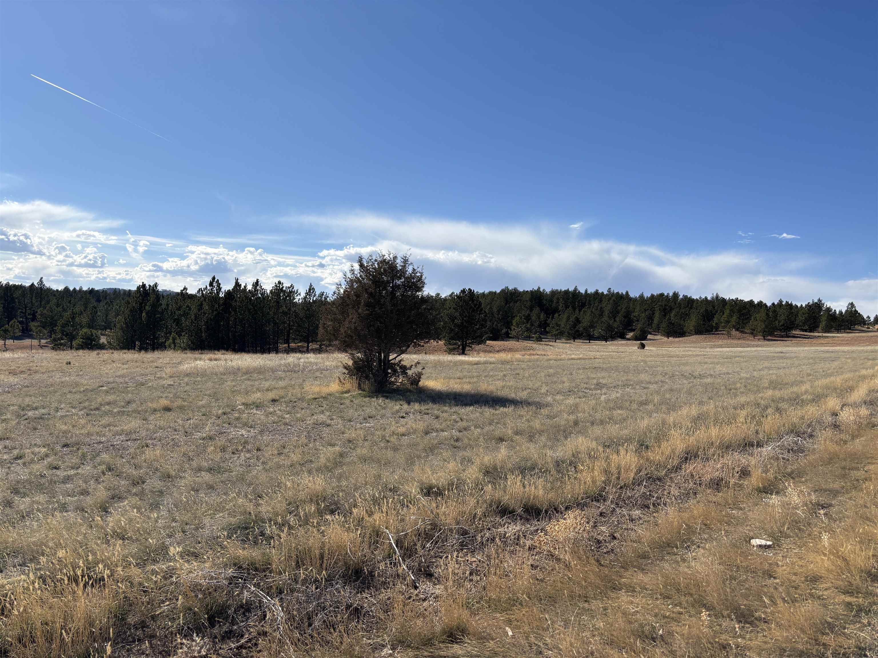 Tract 74 Turkey Trail