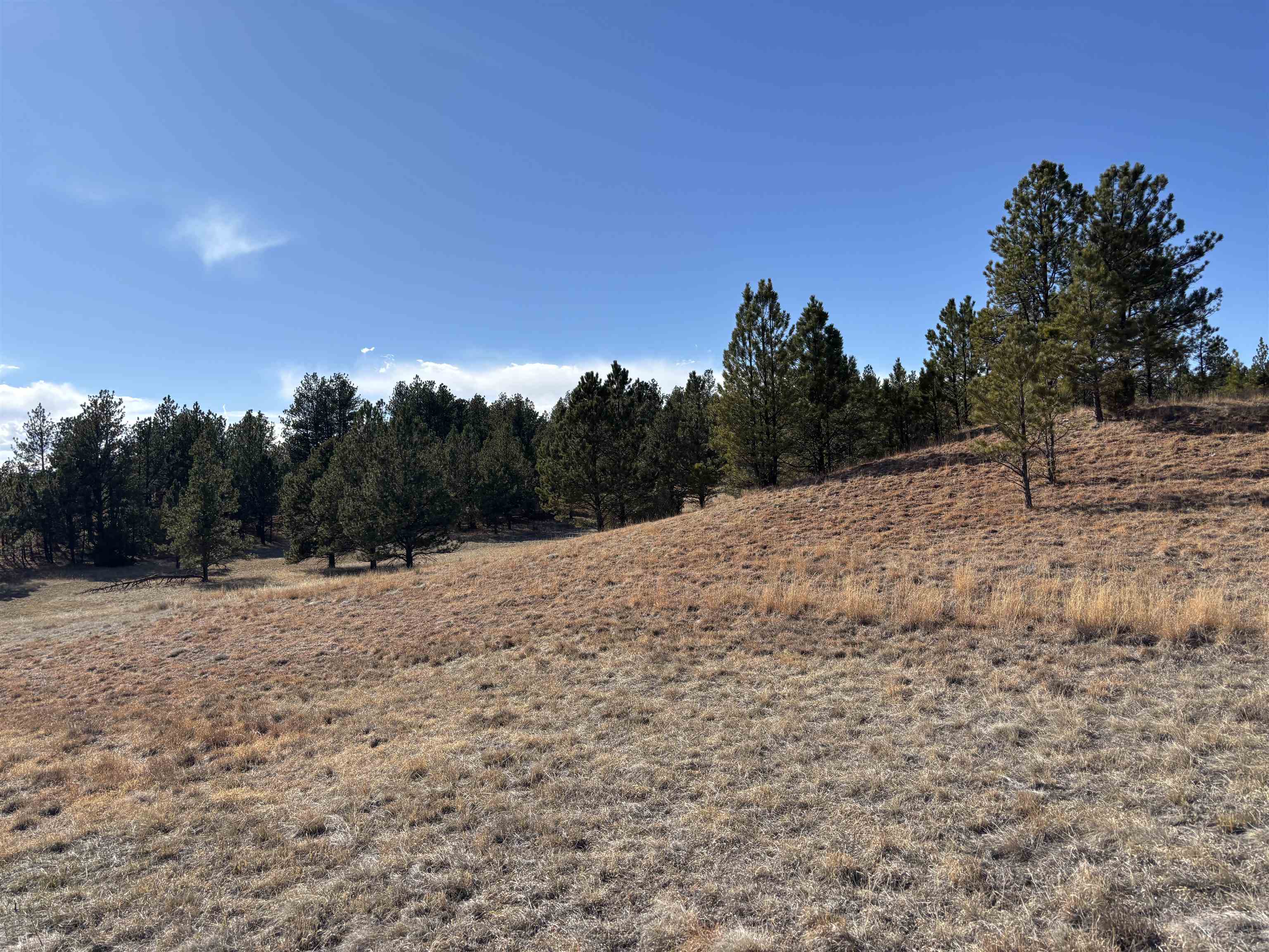 Tract 74 Turkey Trail