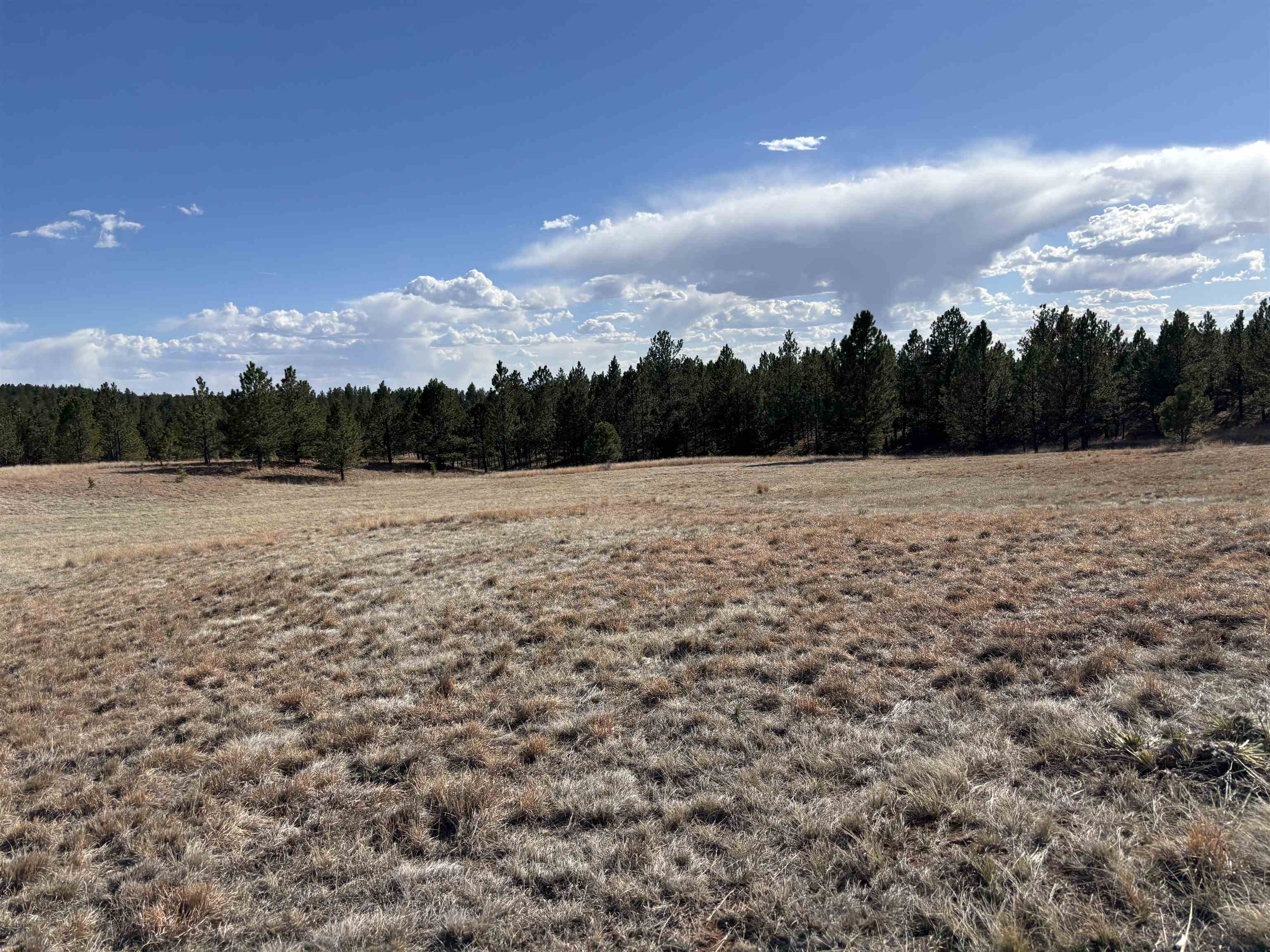 Tract 74 Turkey Trail