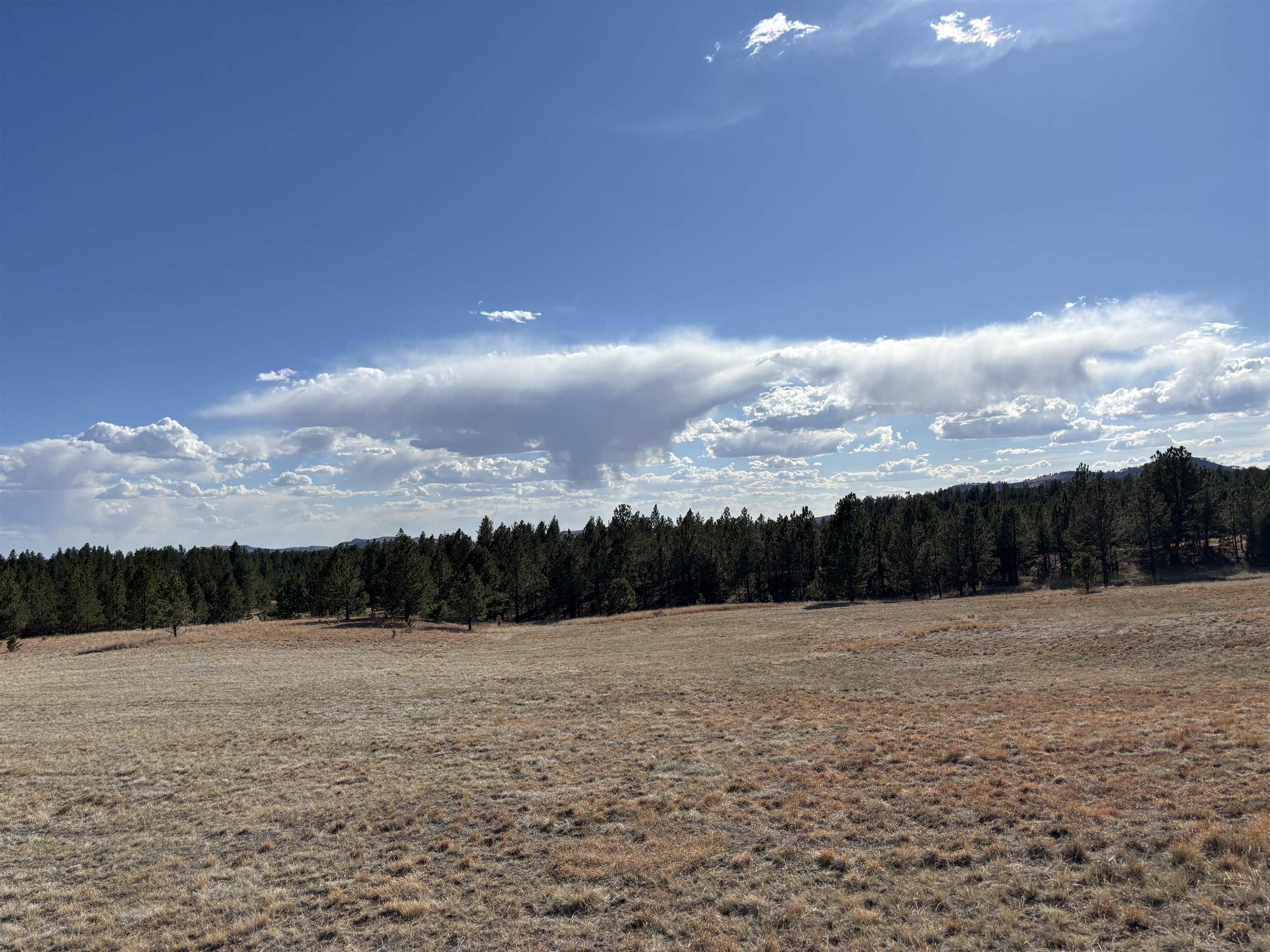 Tract 74 Turkey Trail