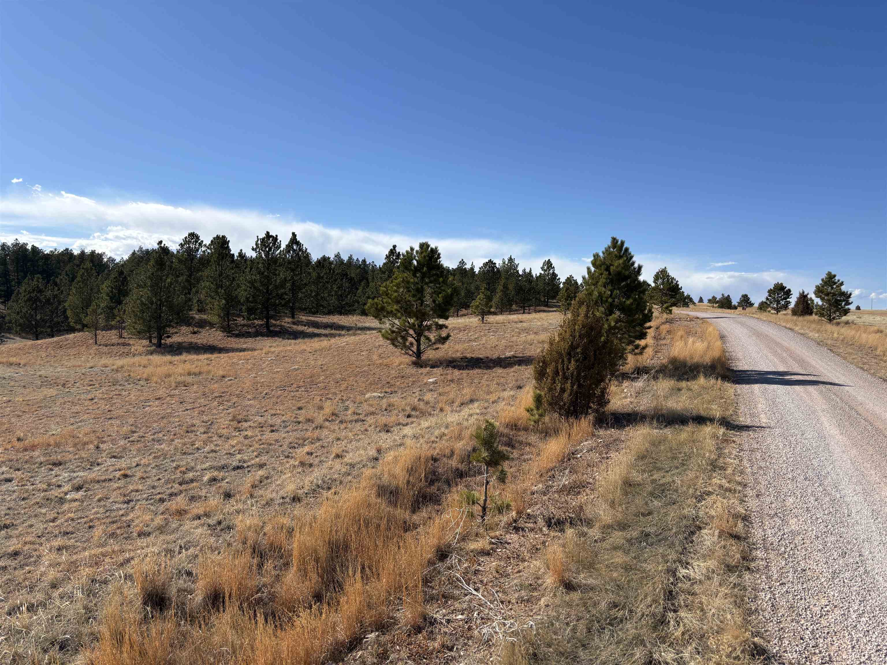 Tract 74 Turkey Trail