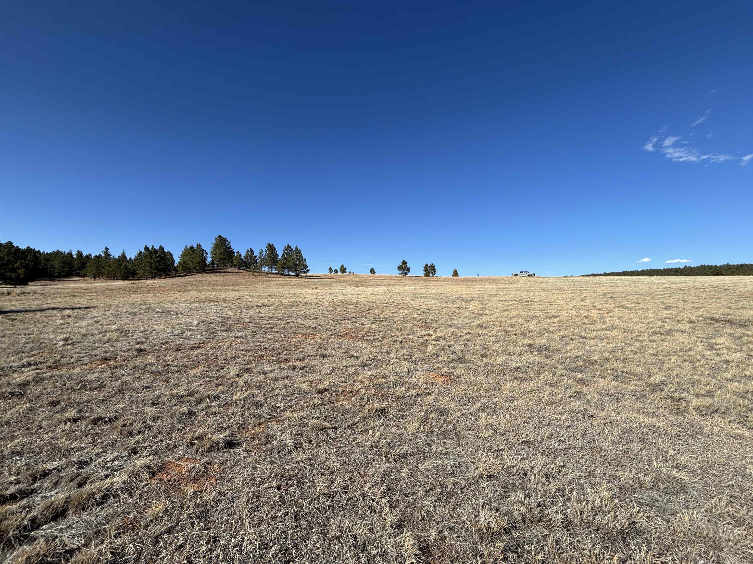 Tract 74 Turkey Trail