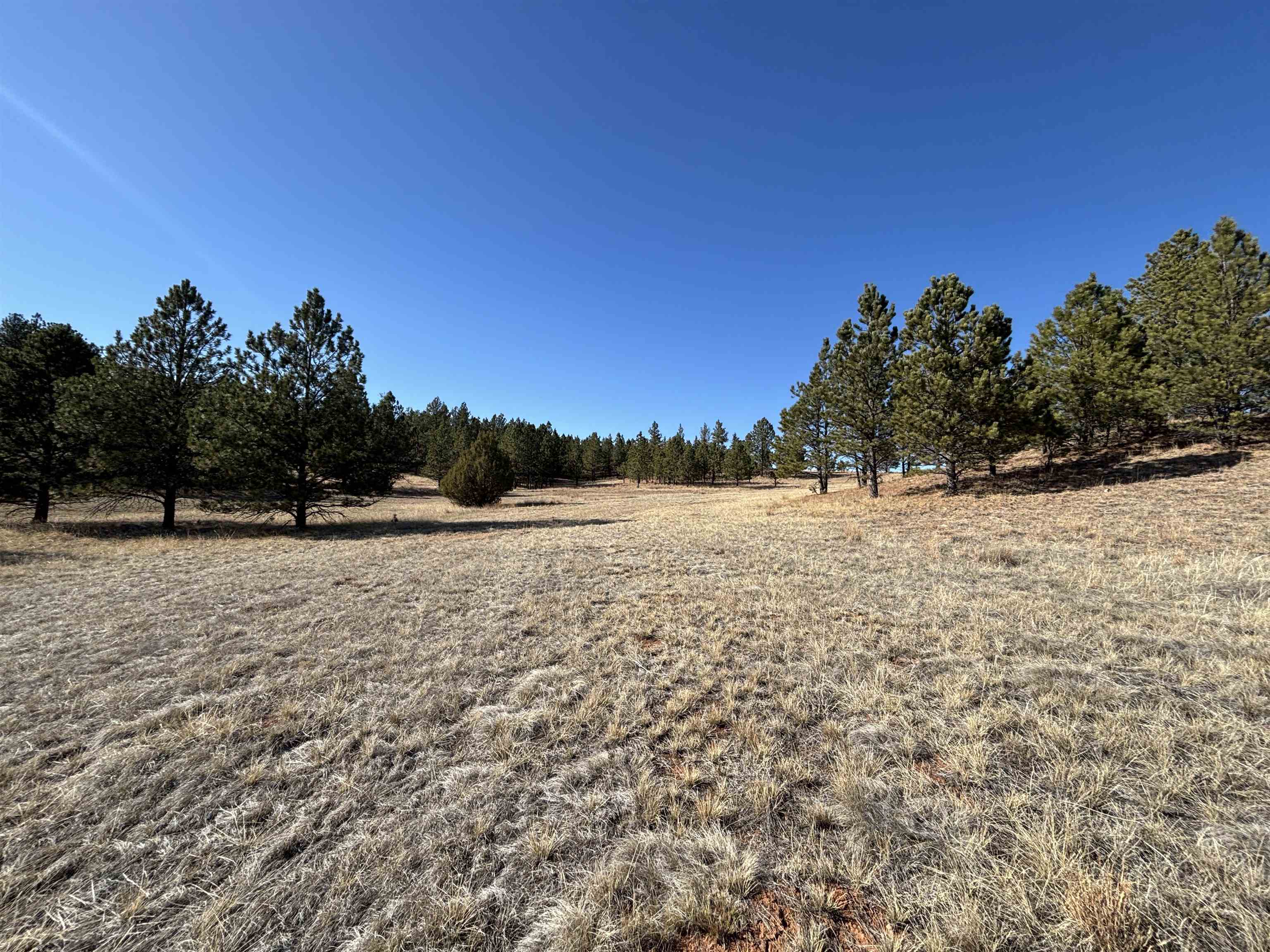 Tract 74 Turkey Trail