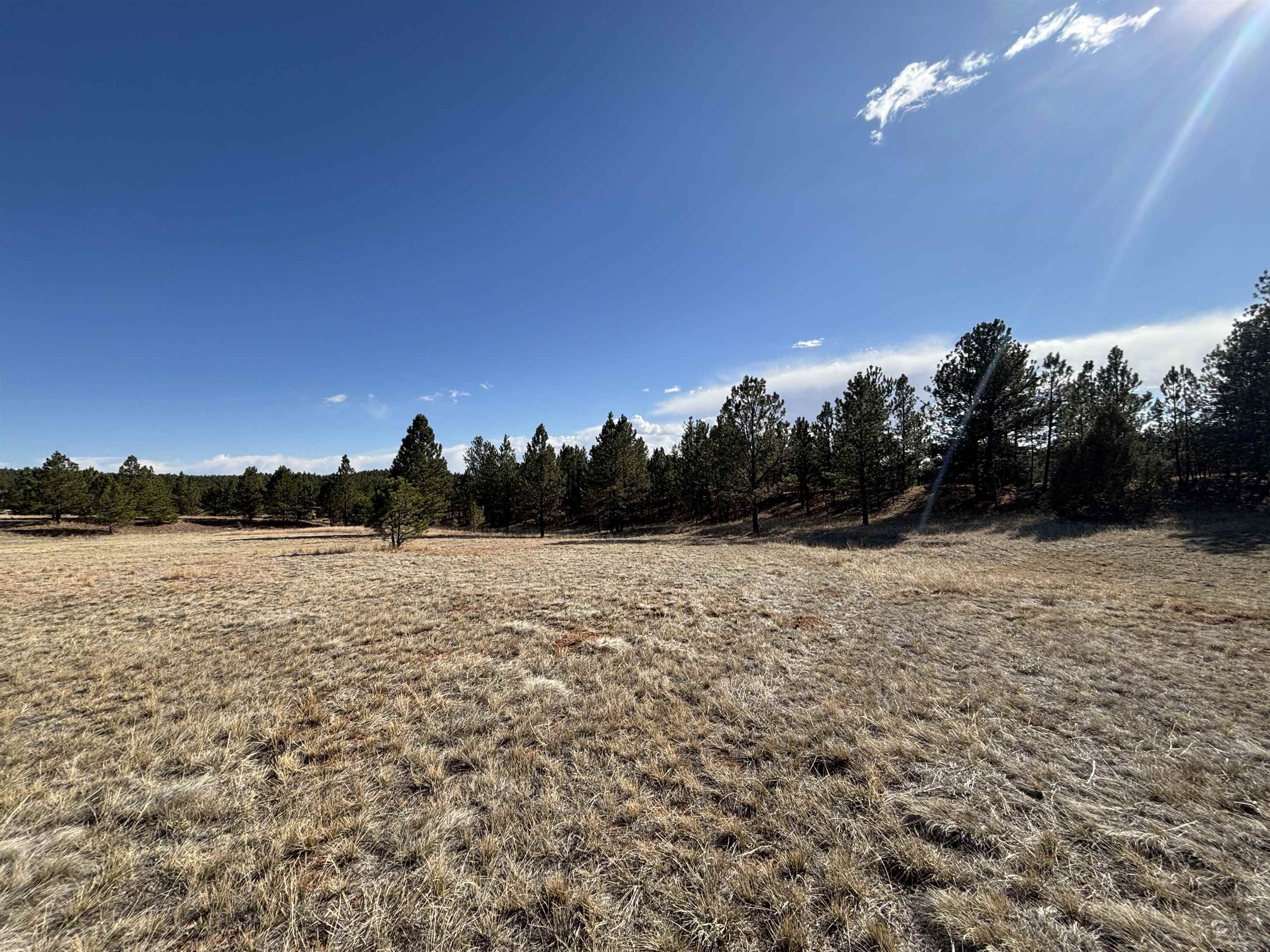 Tract 74 Turkey Trail