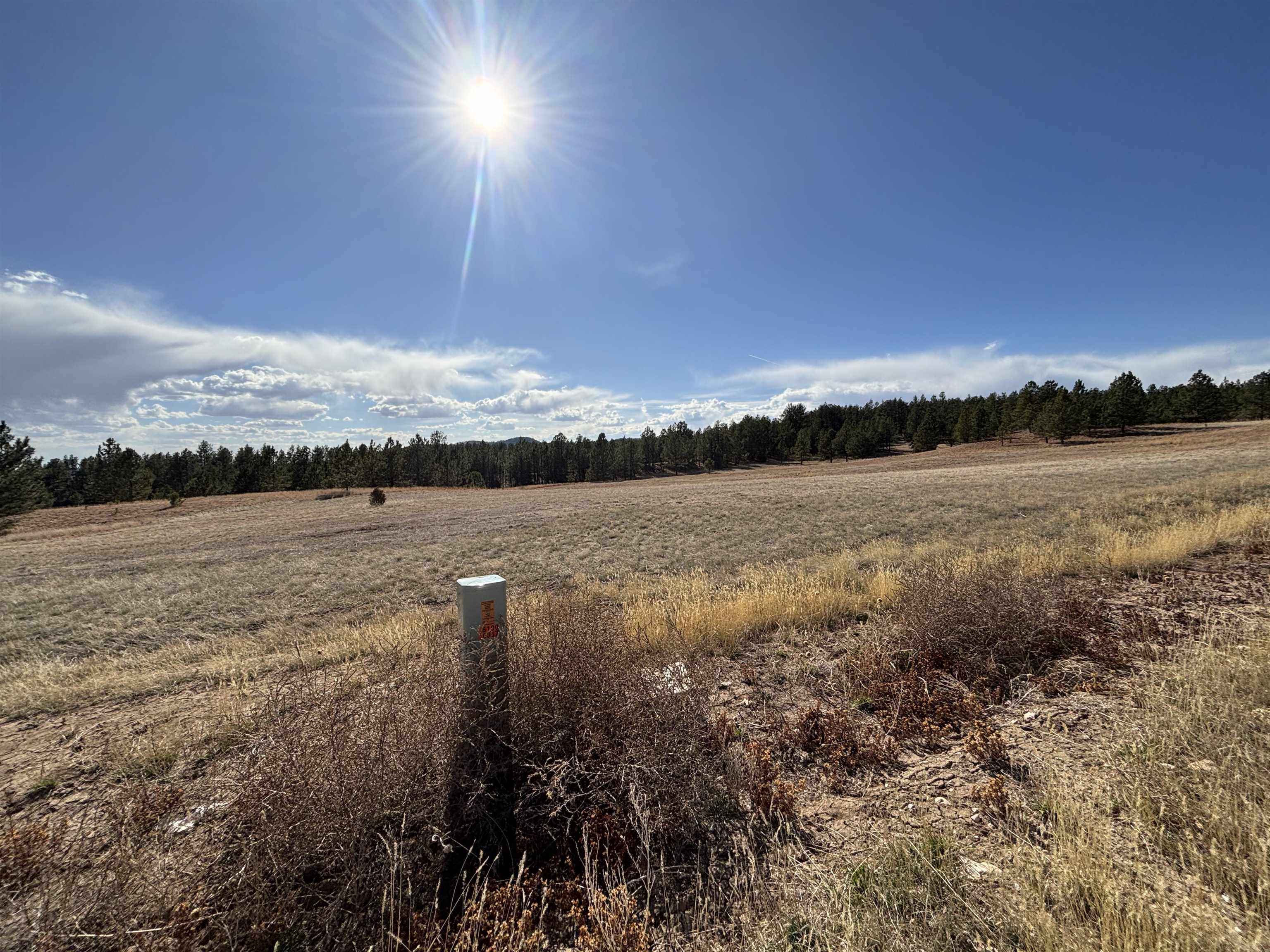 Tract 74 Turkey Trail