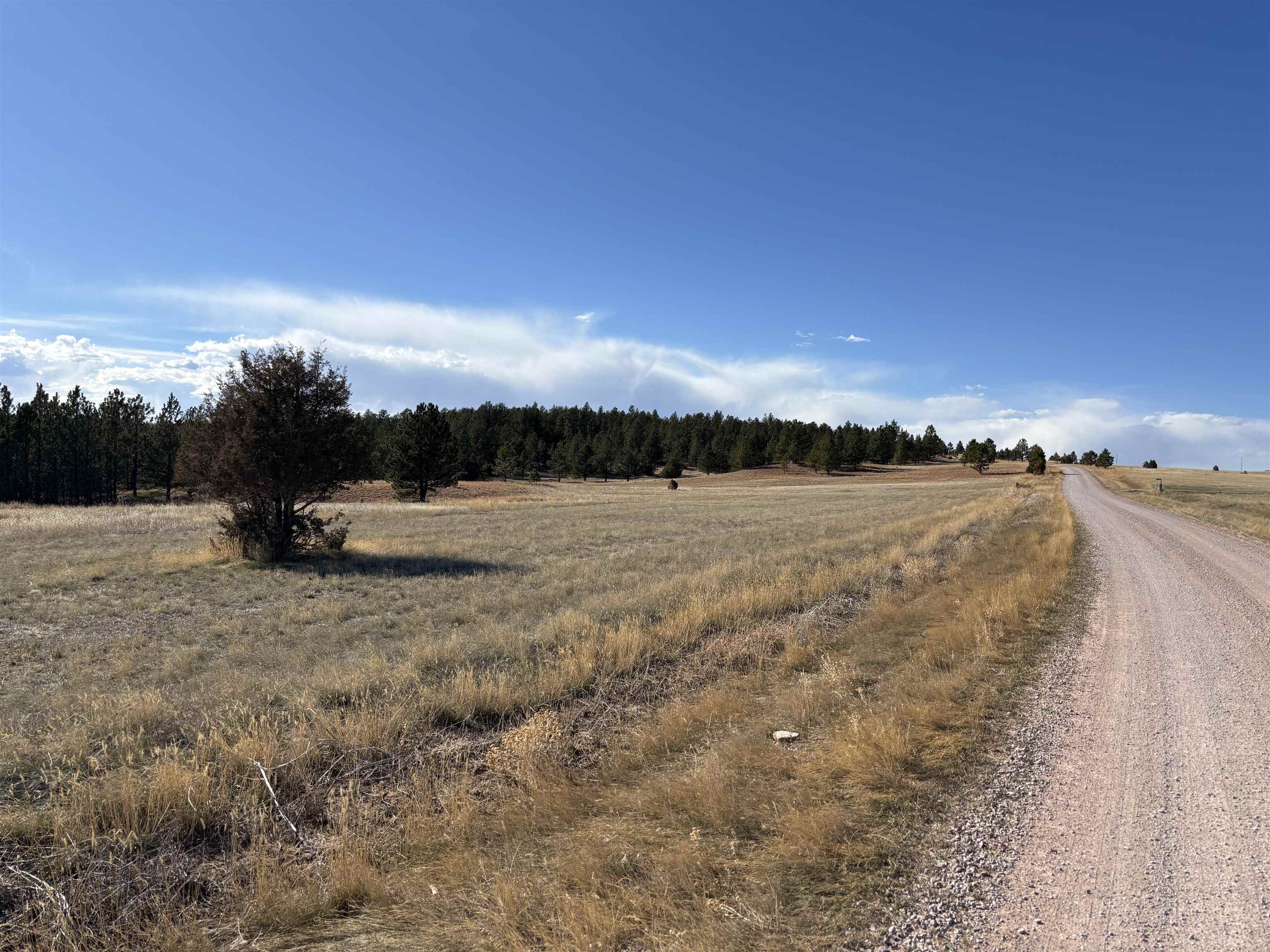 Tract 74 Turkey Trail