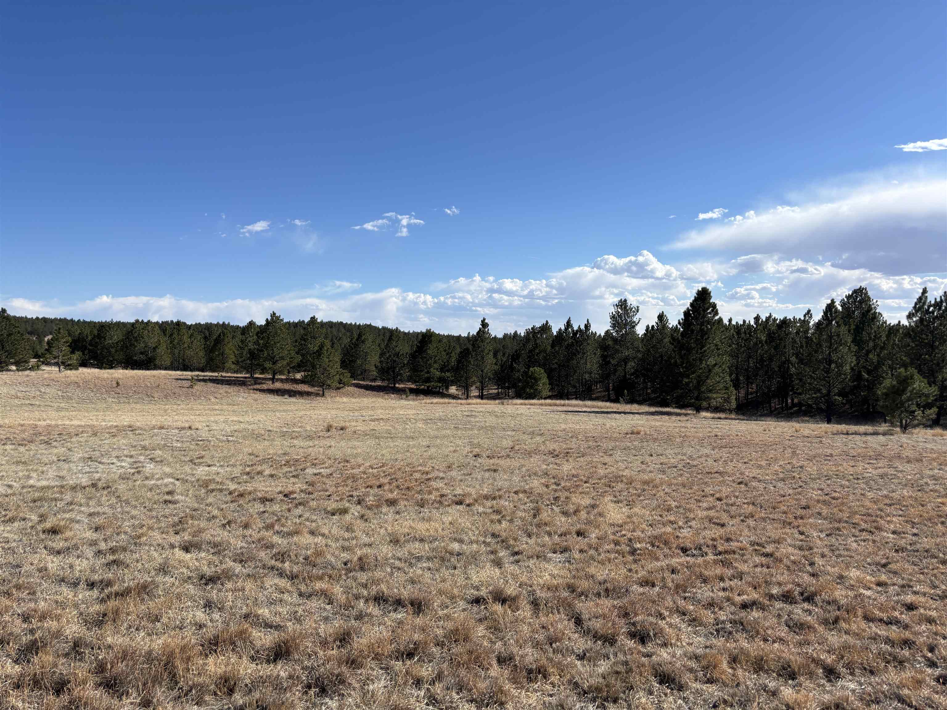 Tract 74 Turkey Trail