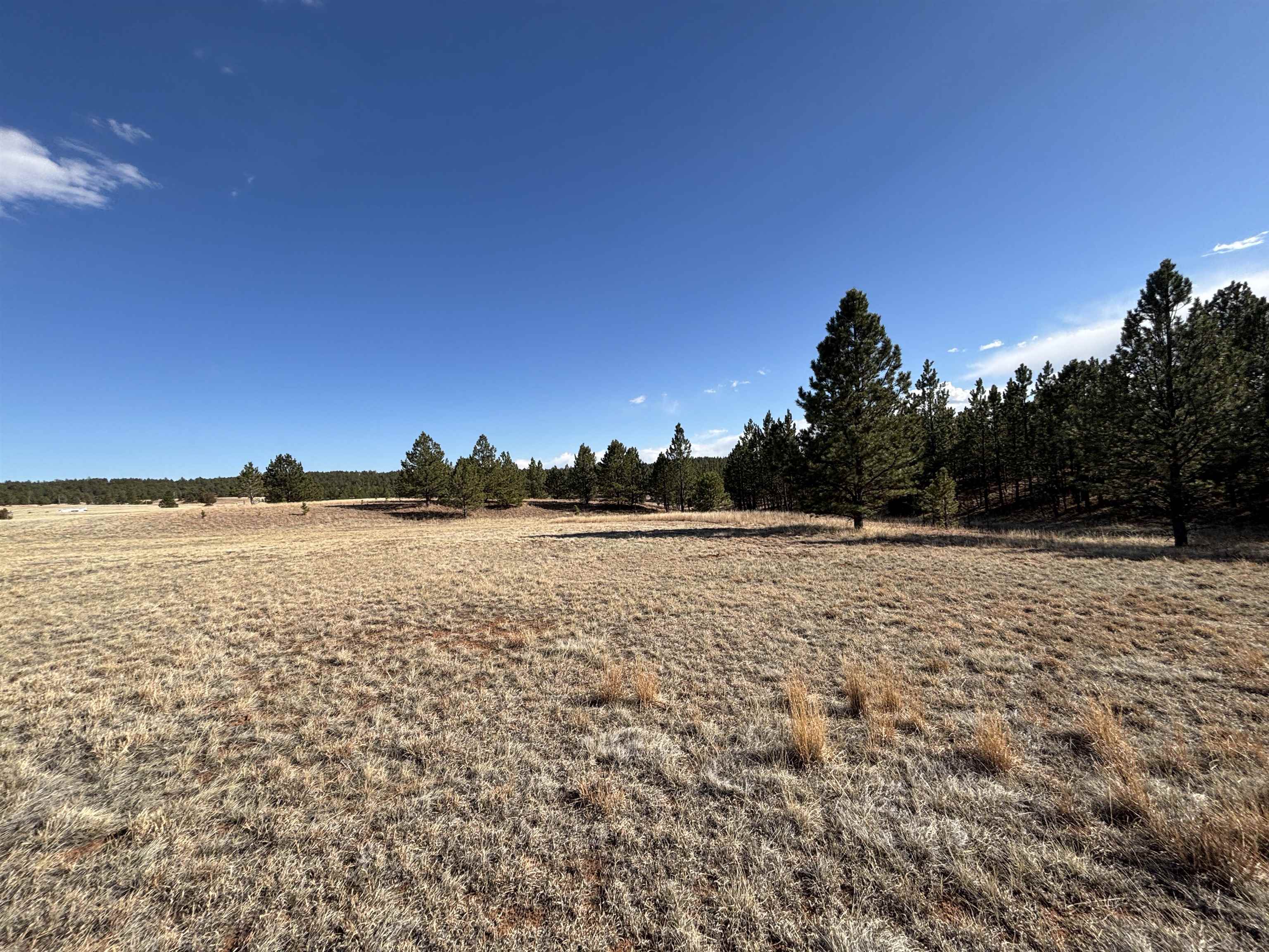 Tract 74 Turkey Trail