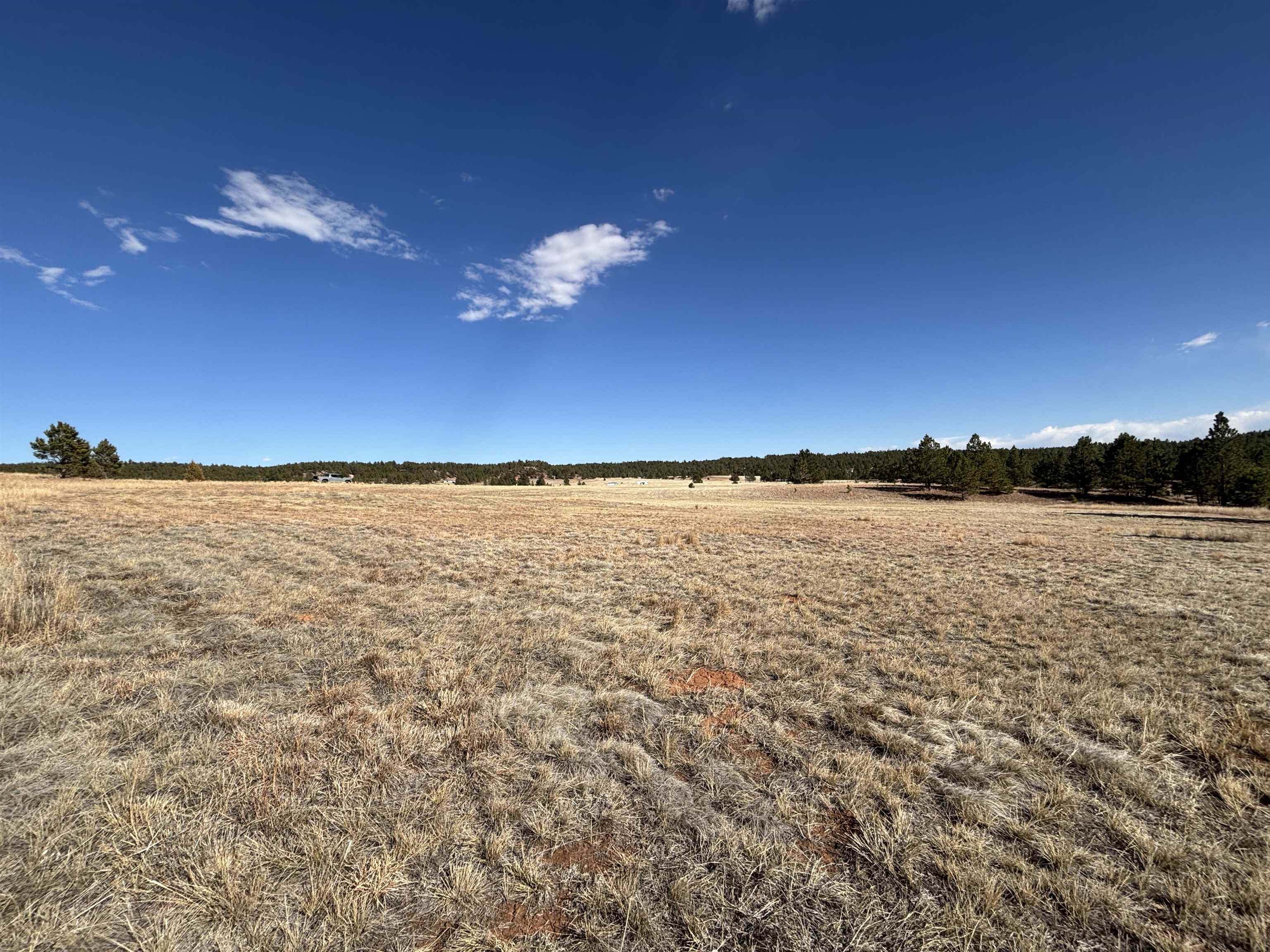 Tract 74 Turkey Trail