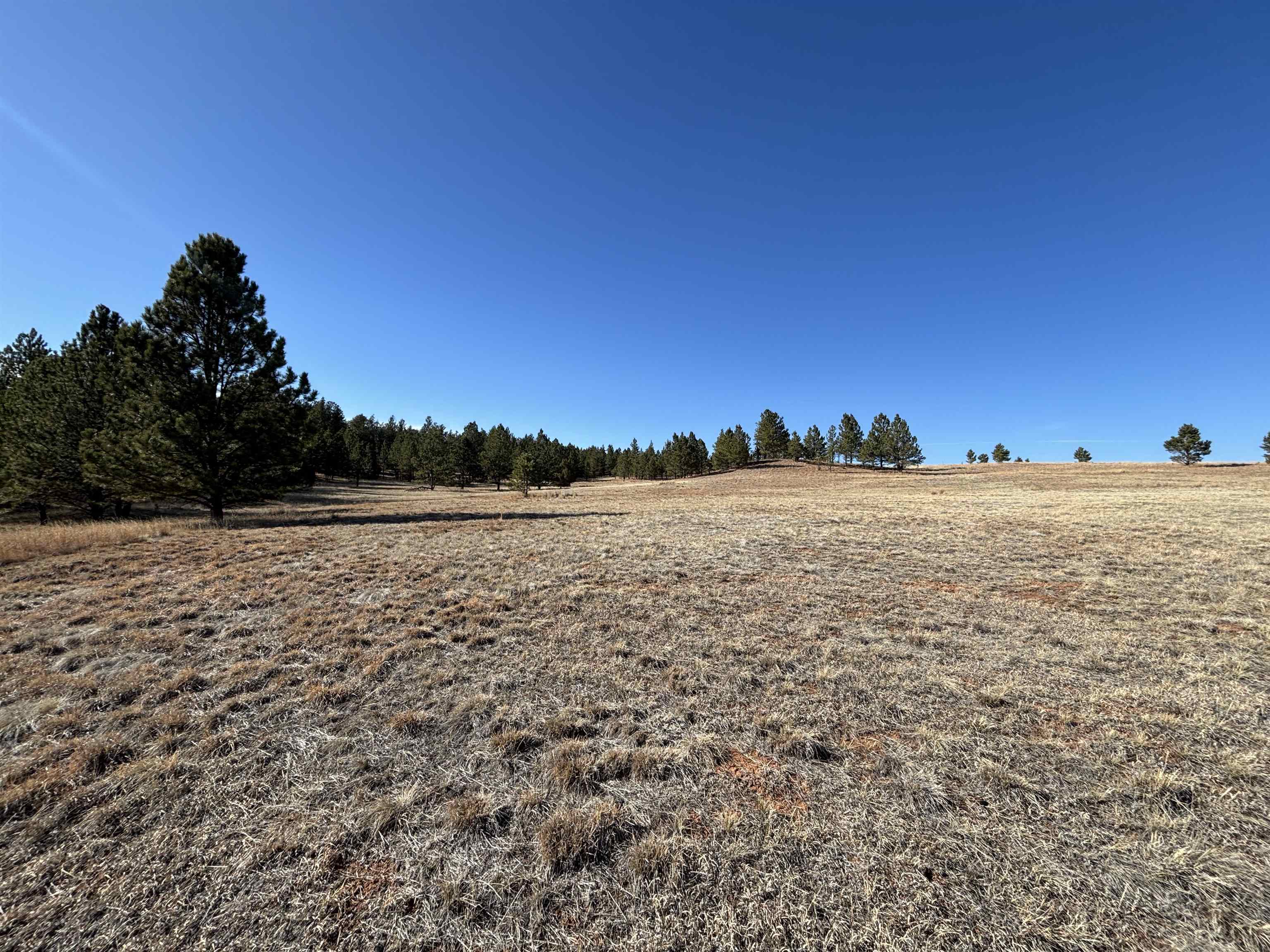 Tract 74 Turkey Trail