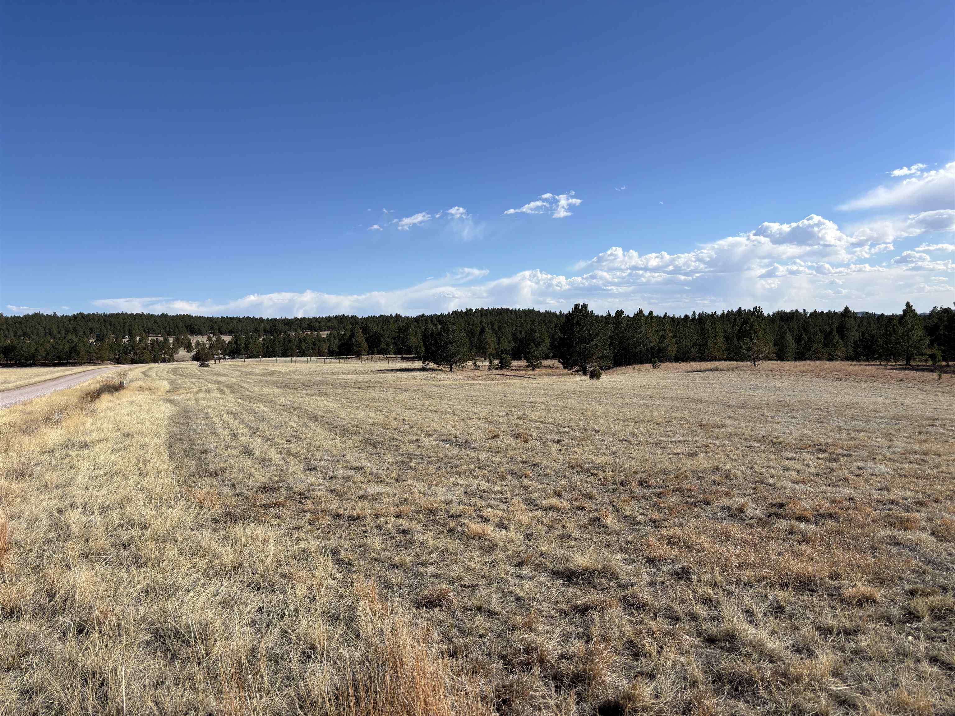 Tract 74 Turkey Trail