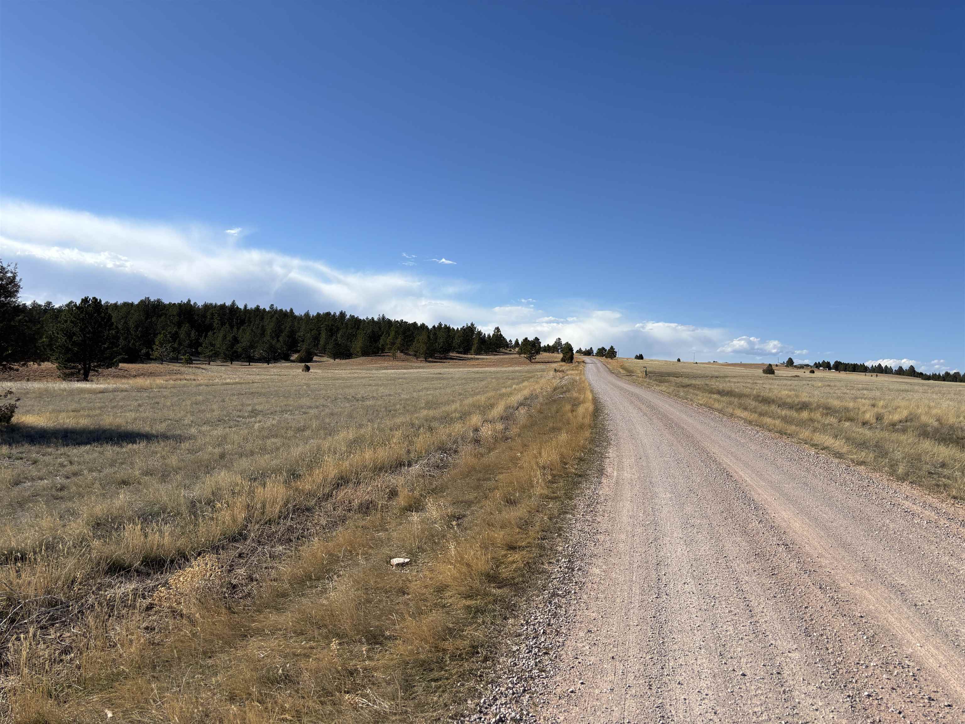 Tract 74 Turkey Trail