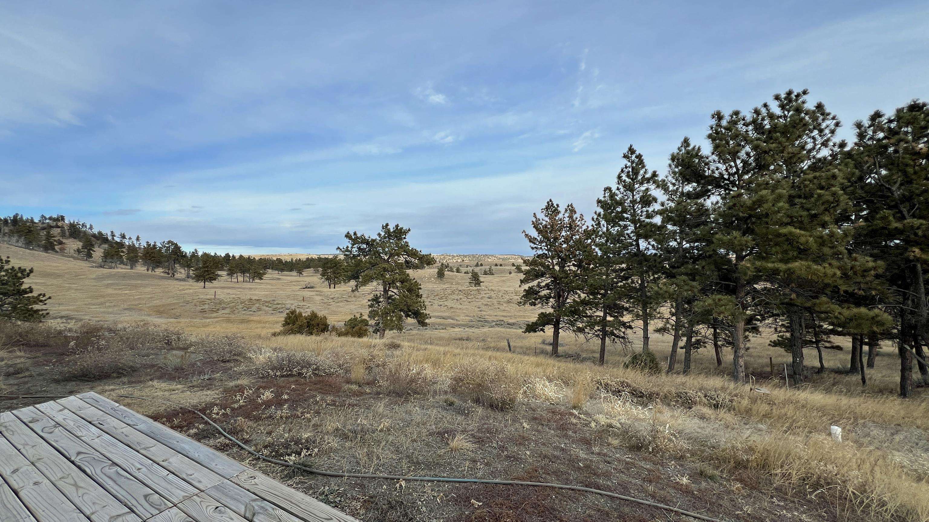 11676 Indian Canyon Road