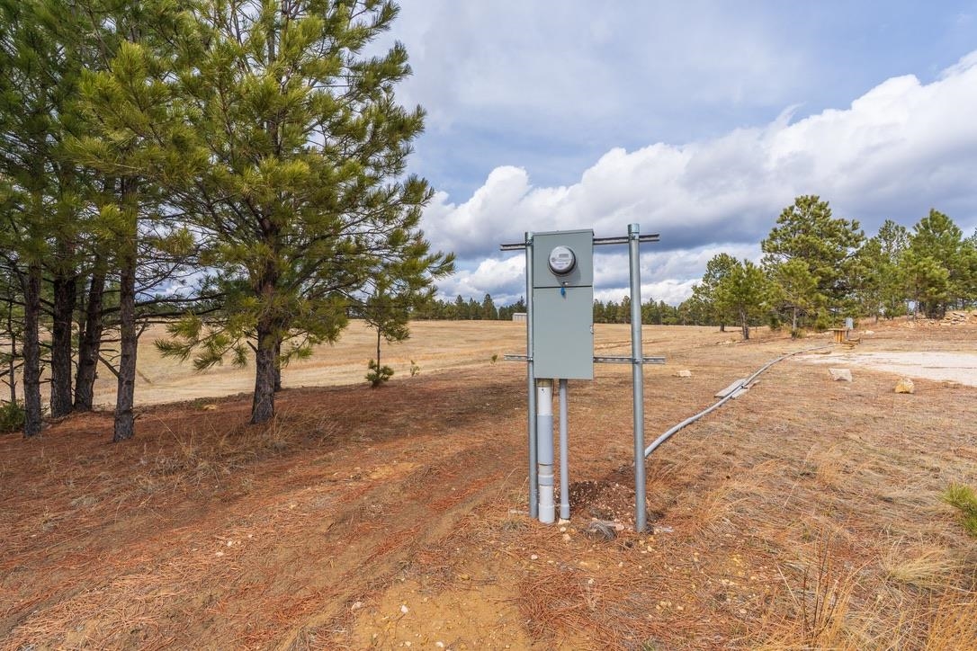 26641 Lonesome Dove Street