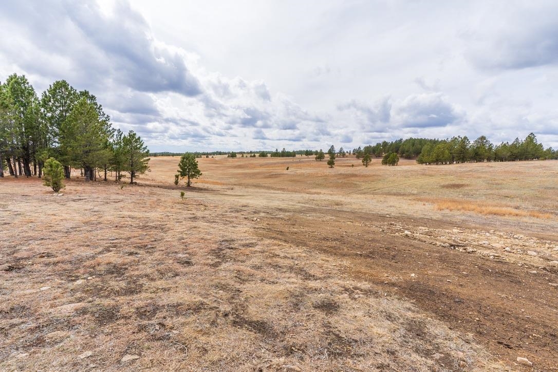 26641 Lonesome Dove Street