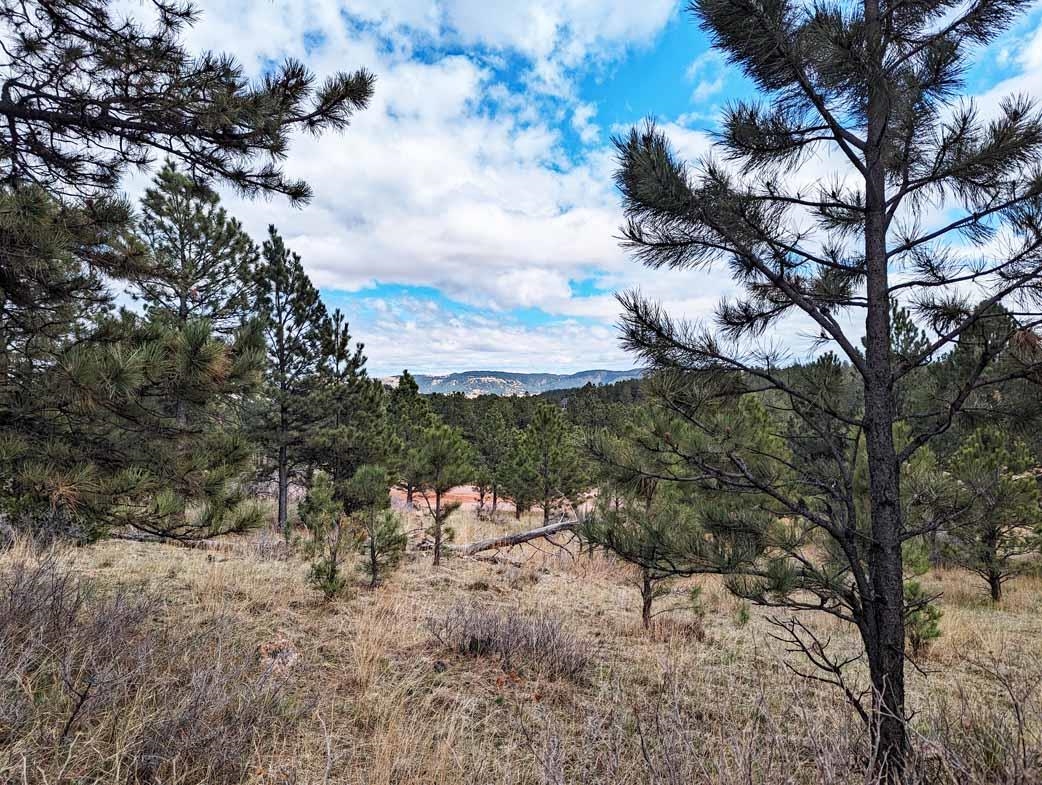 Lot 1 Argyle Ridge Ct.