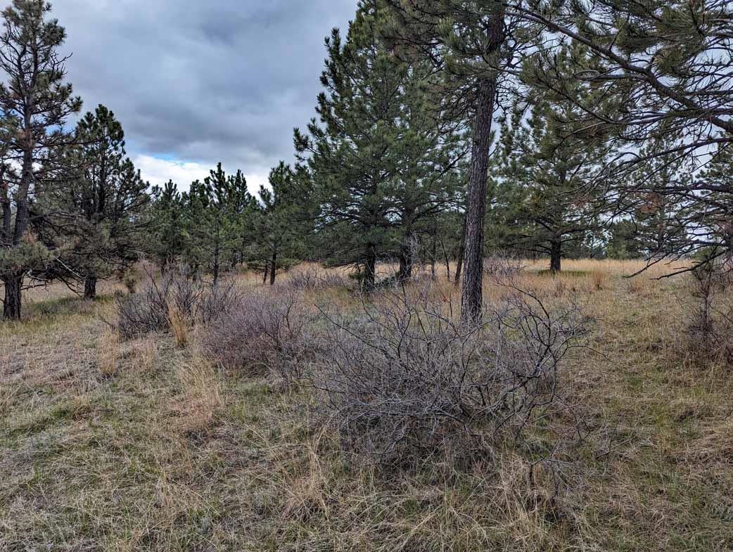 Lot 1 Argyle Ridge Ct.