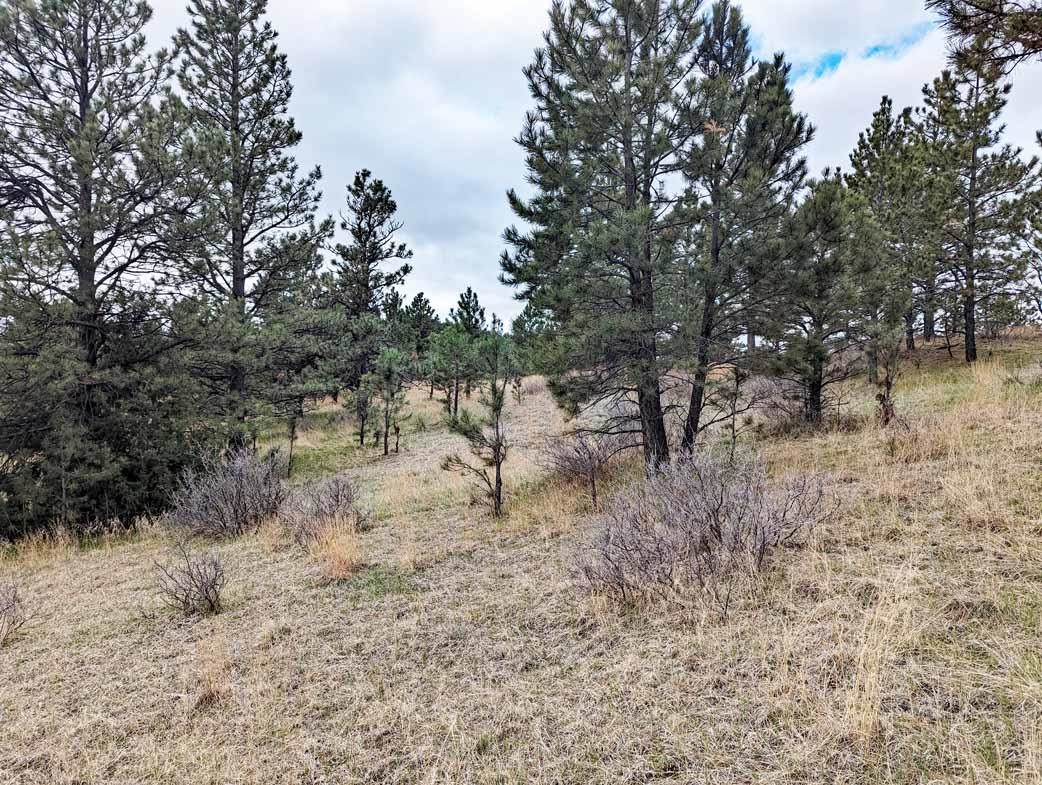 Lot 1 Argyle Ridge Ct.