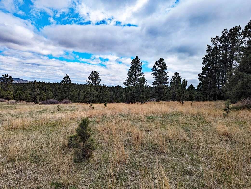 Lot 2 Argyle Ridge Ct.