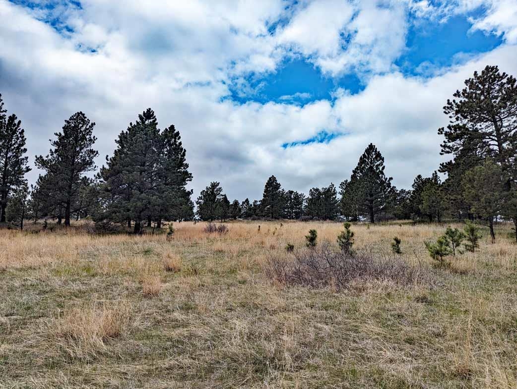 Lot 2 Argyle Ridge Ct.