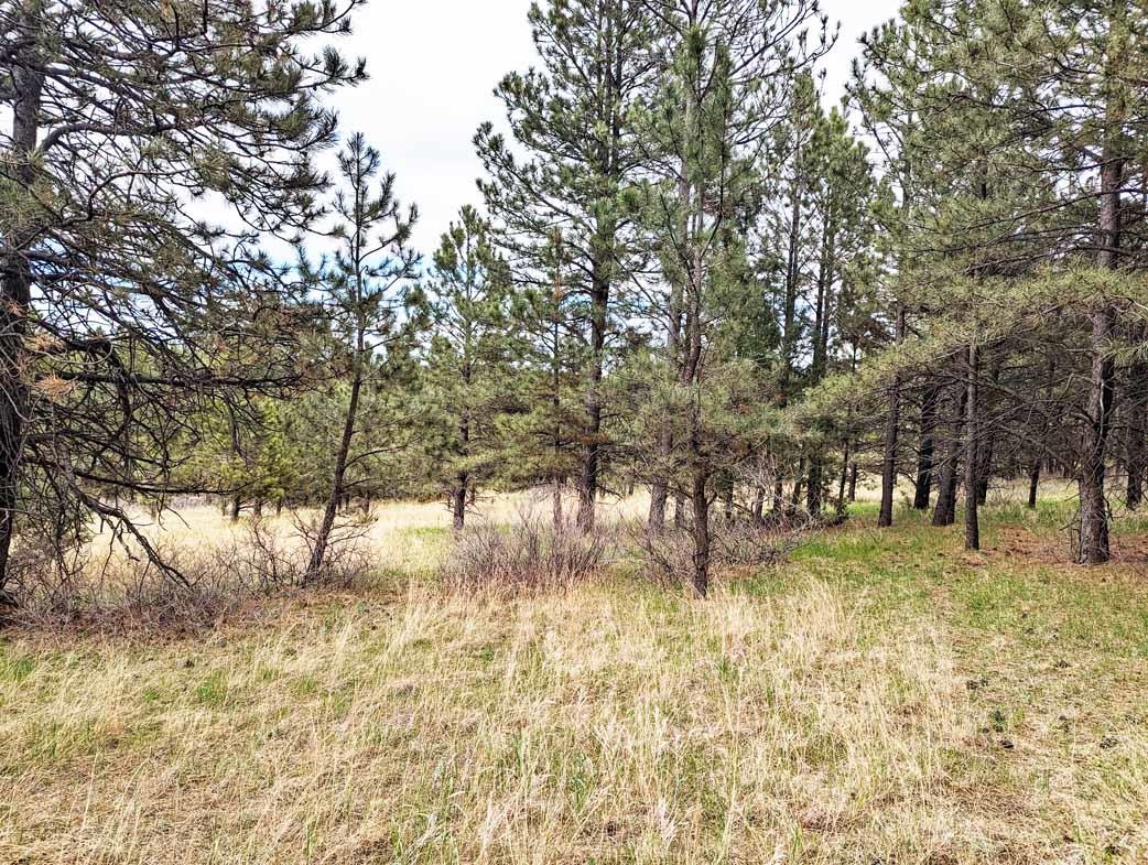 Lot 5 Argyle Ridge Ct.