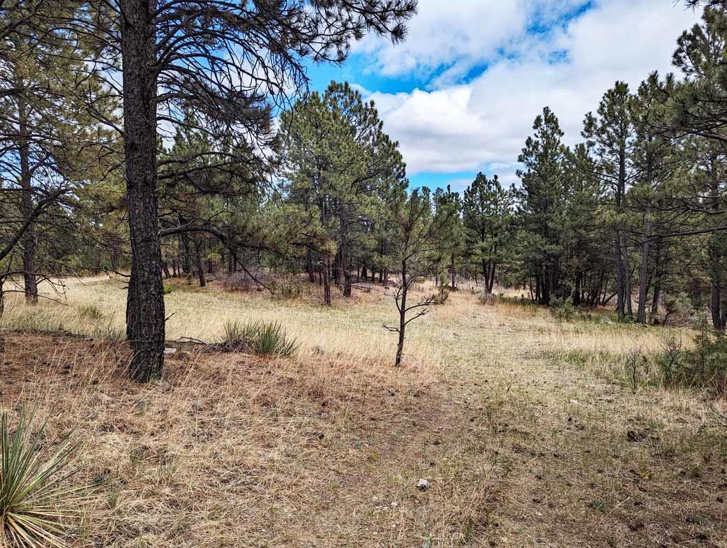 Lot 4 Argyle Ridge Ct.