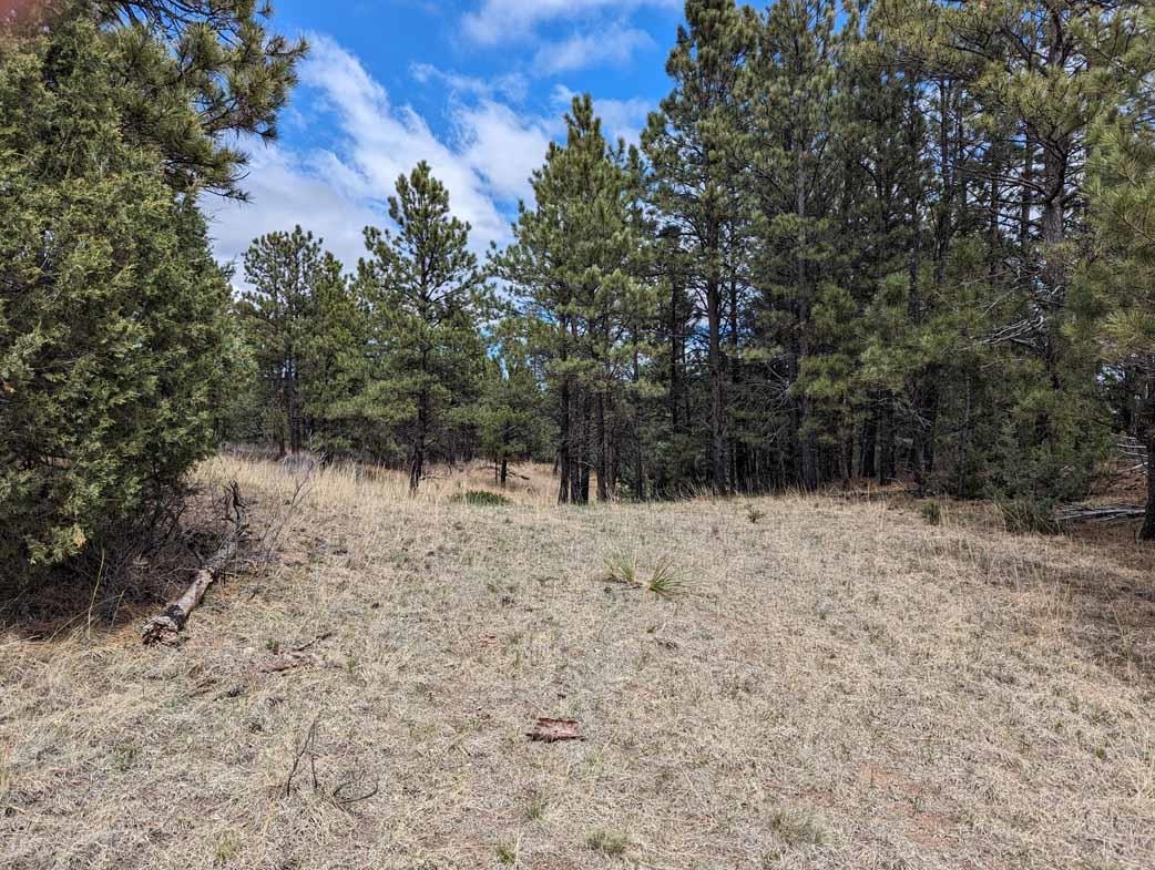 Lot 4 Argyle Ridge Ct.