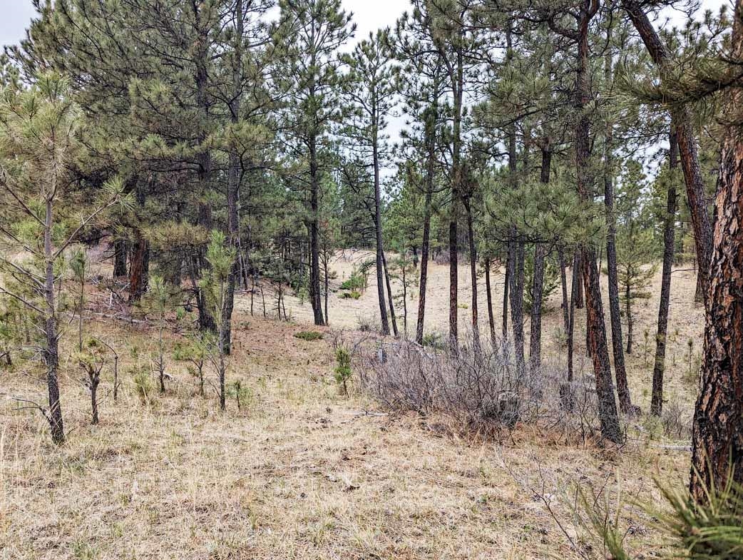 Lot 4 Argyle Ridge Ct.