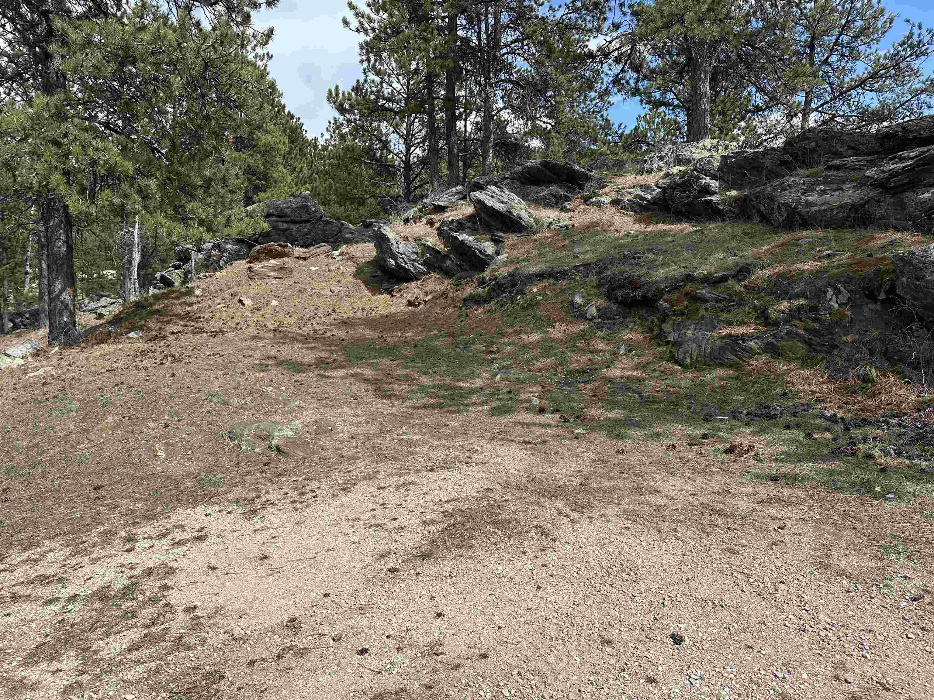 12127 Chickadee Lane