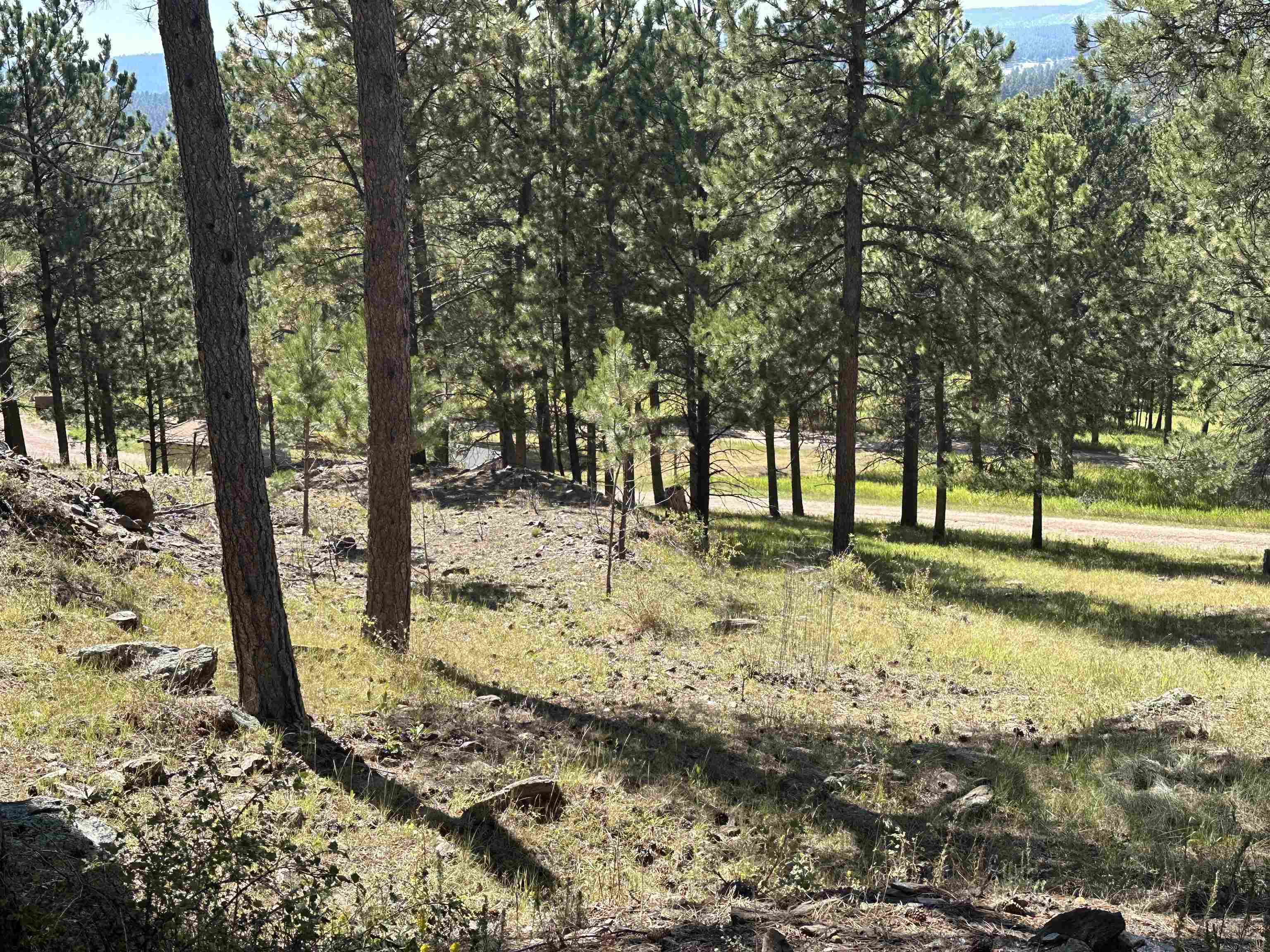 12127 Chickadee Lane