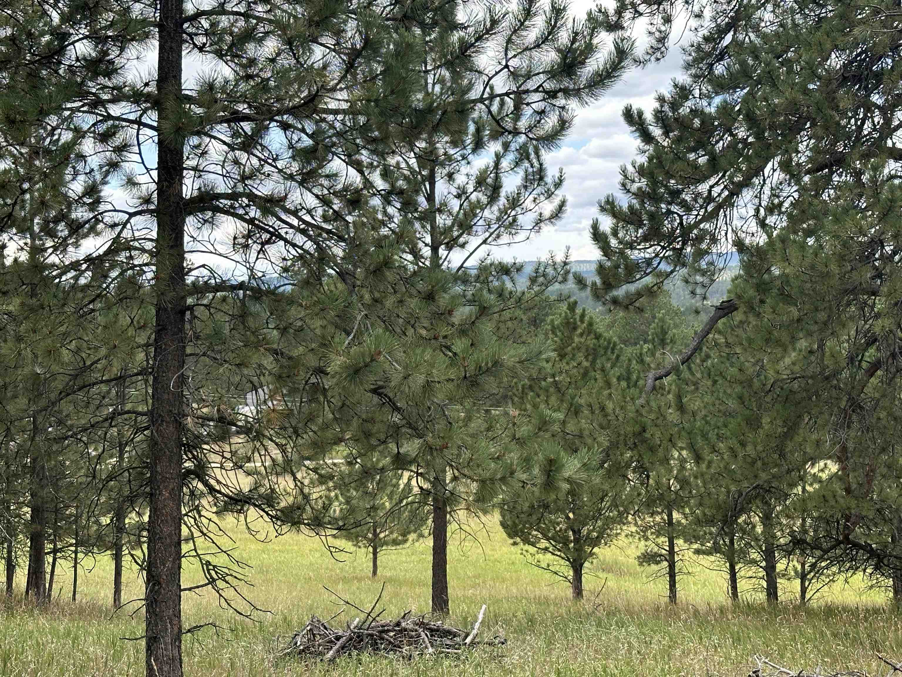 12127 Chickadee Lane