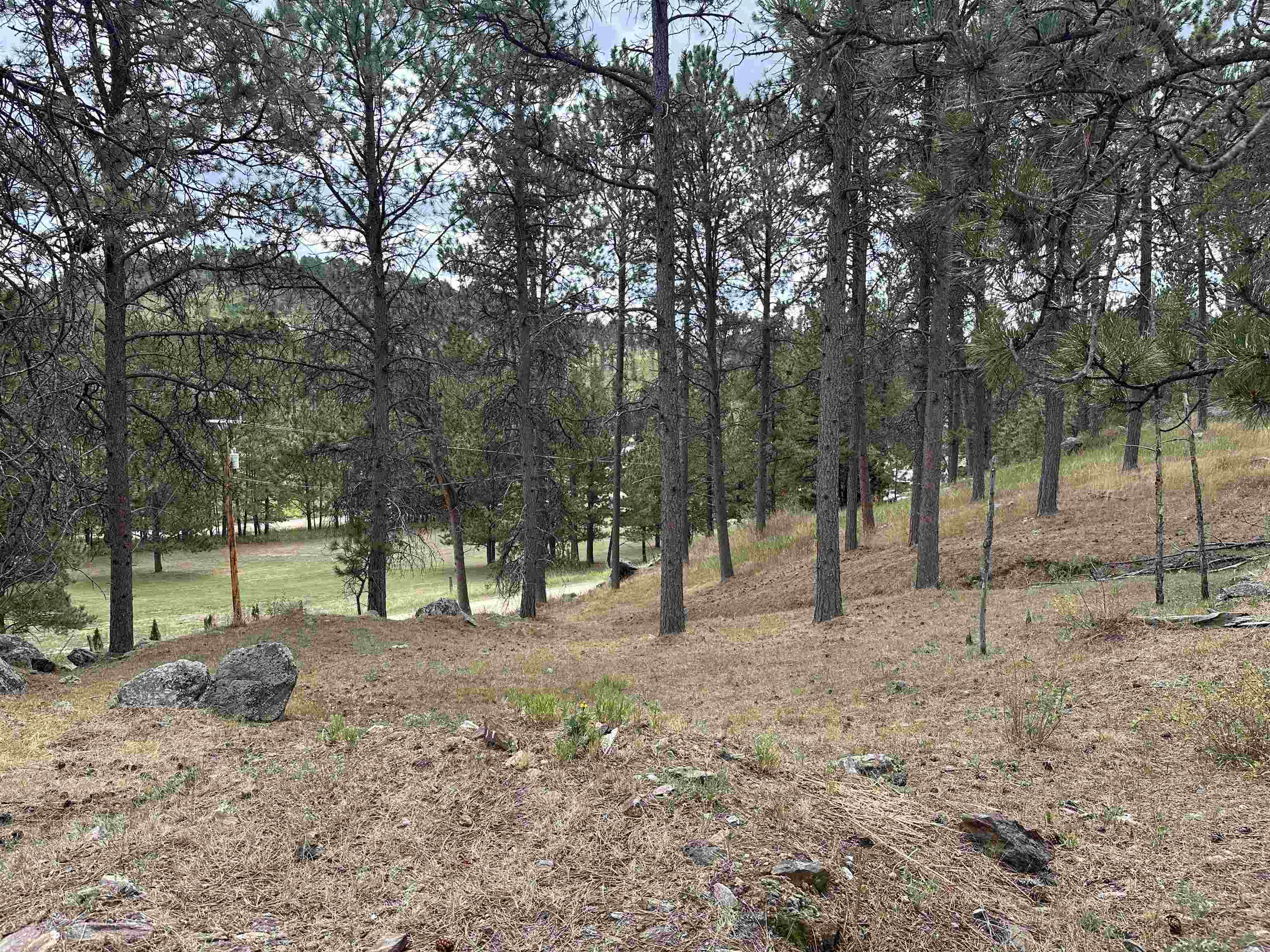 12127 Chickadee Lane