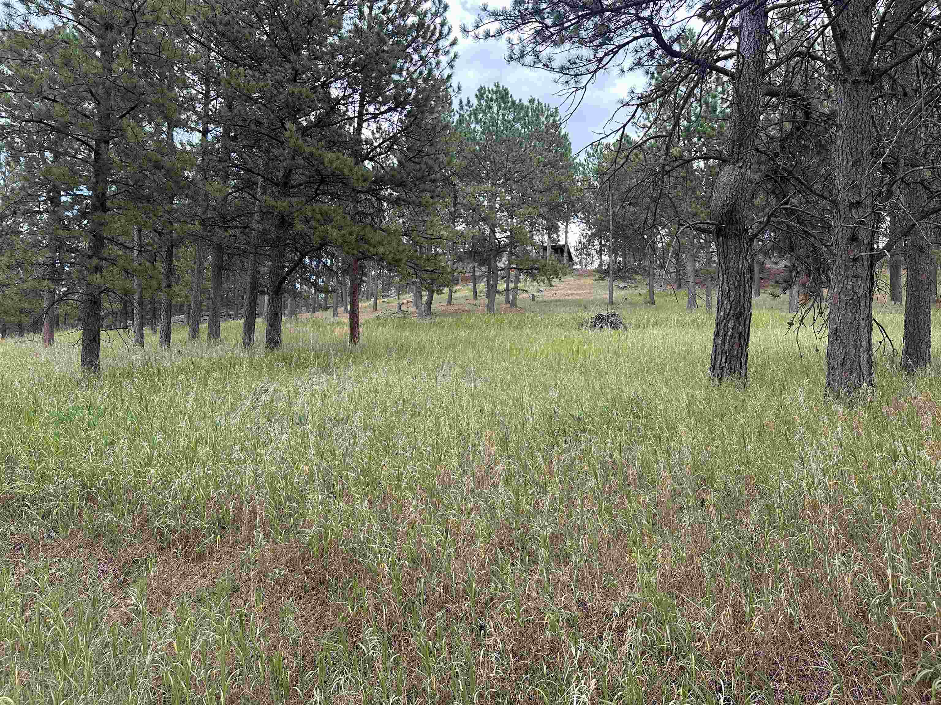 12127 Chickadee Lane