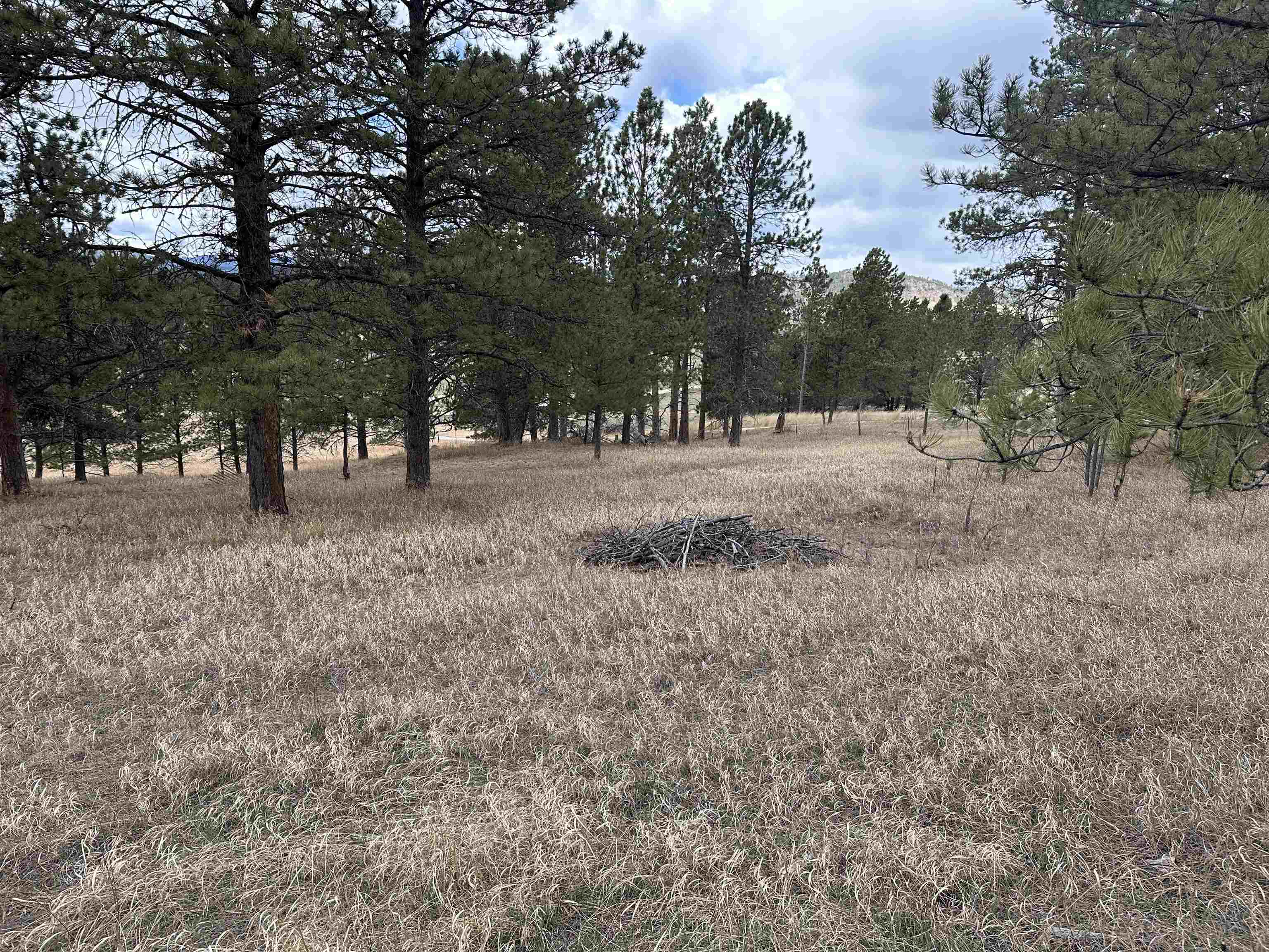 12127 Chickadee Lane