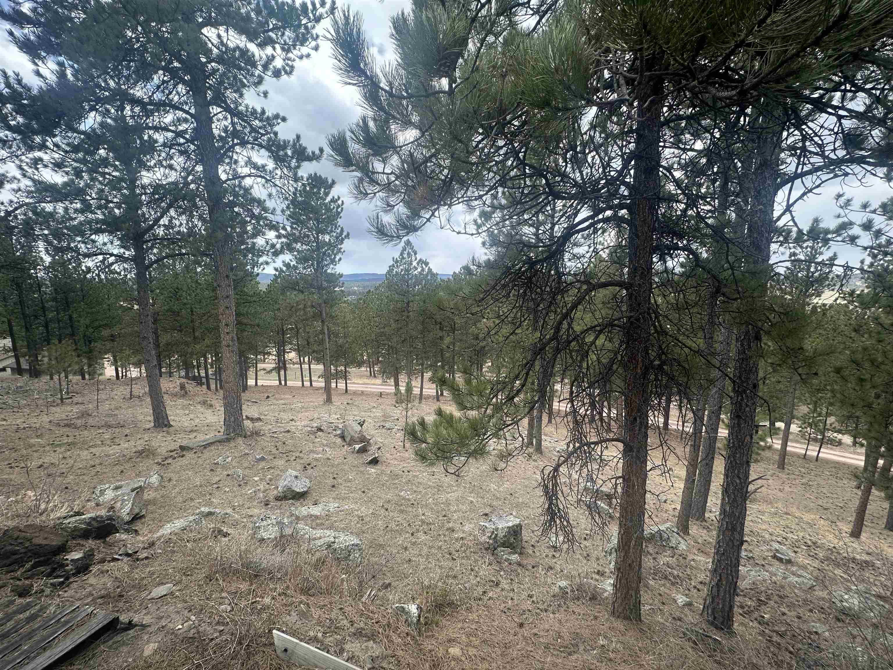 12127 Chickadee Lane