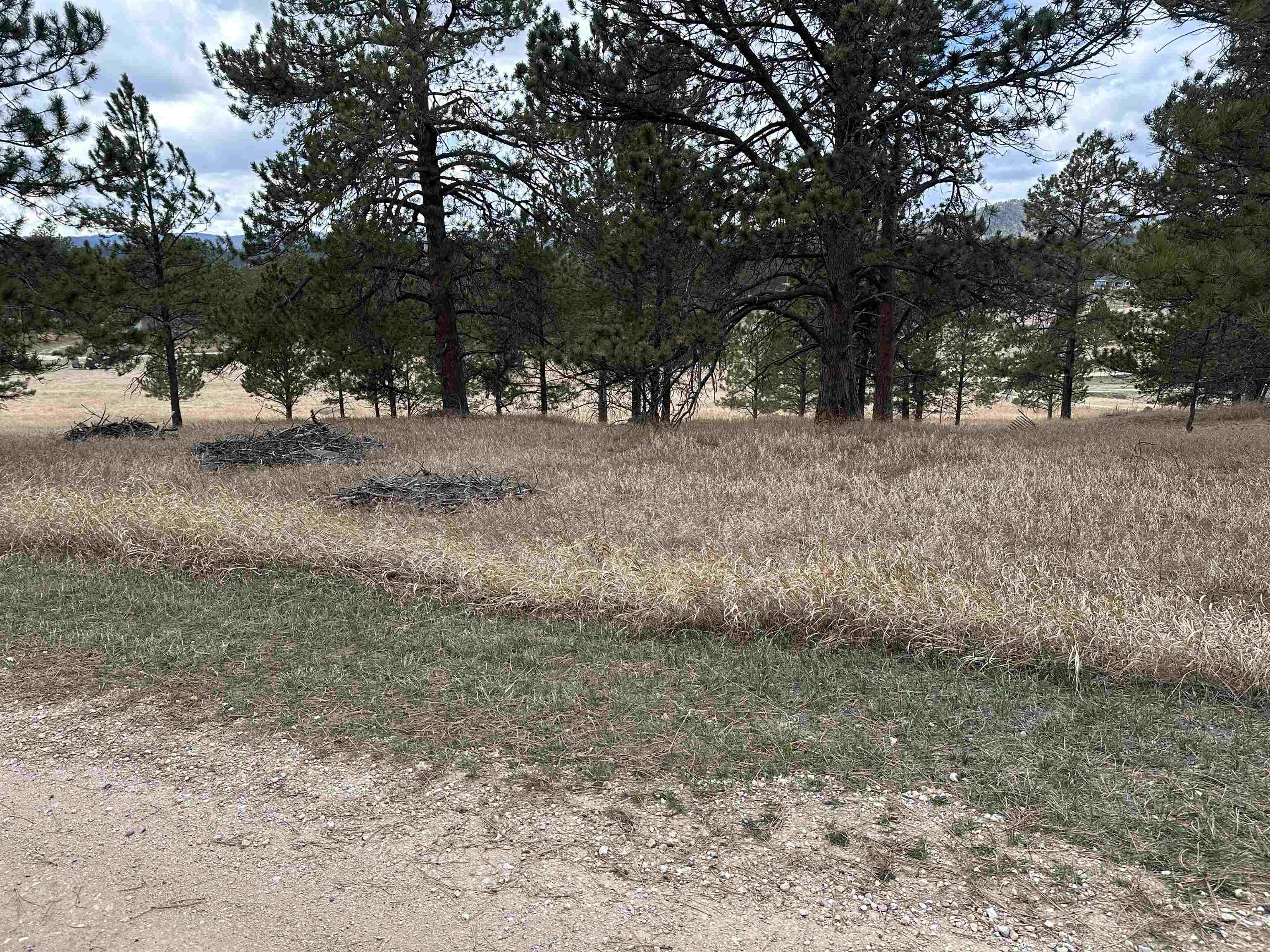 12127 Chickadee Lane