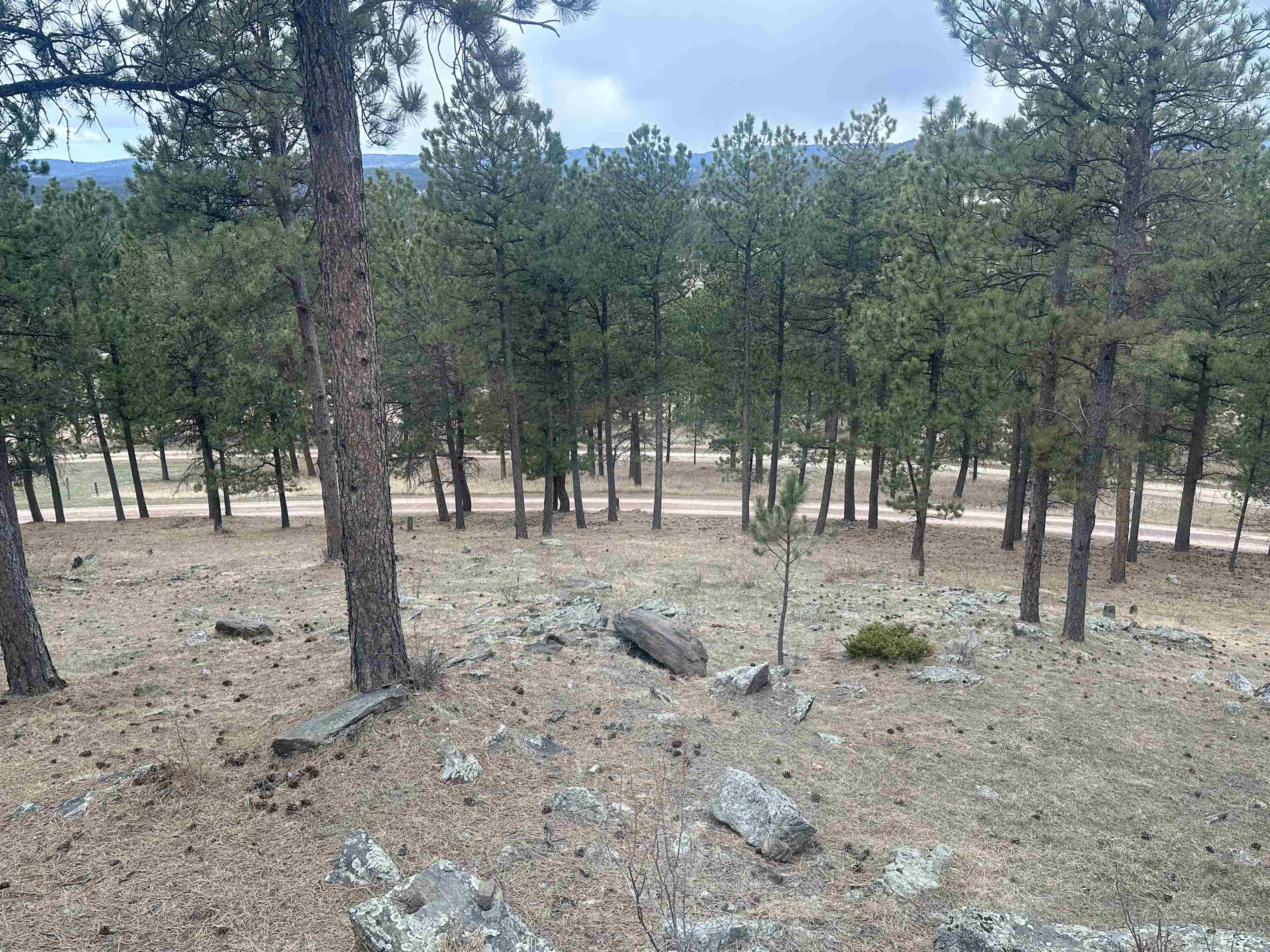 12127 Chickadee Lane