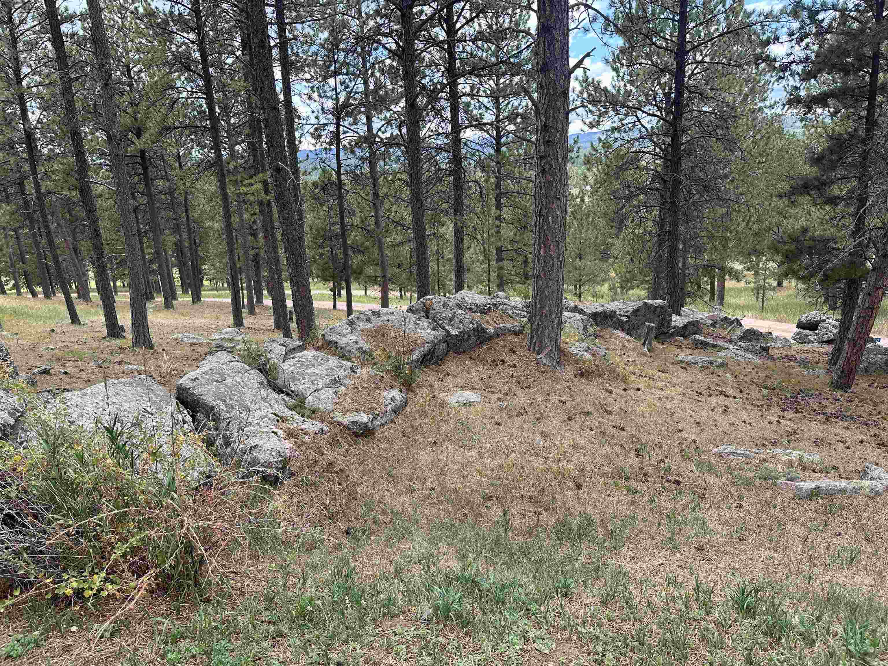 12127 Chickadee Lane