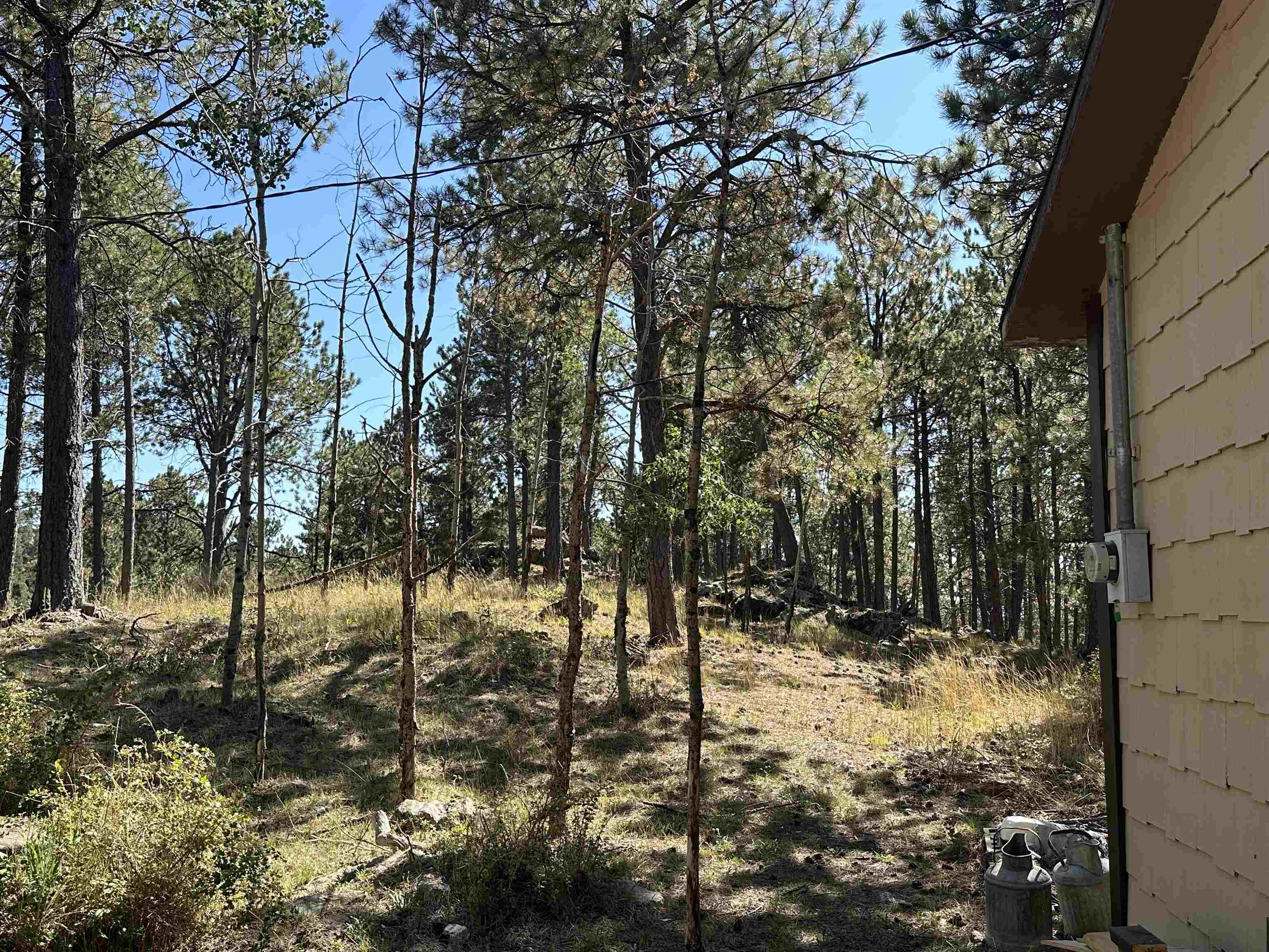 12127 Chickadee Lane