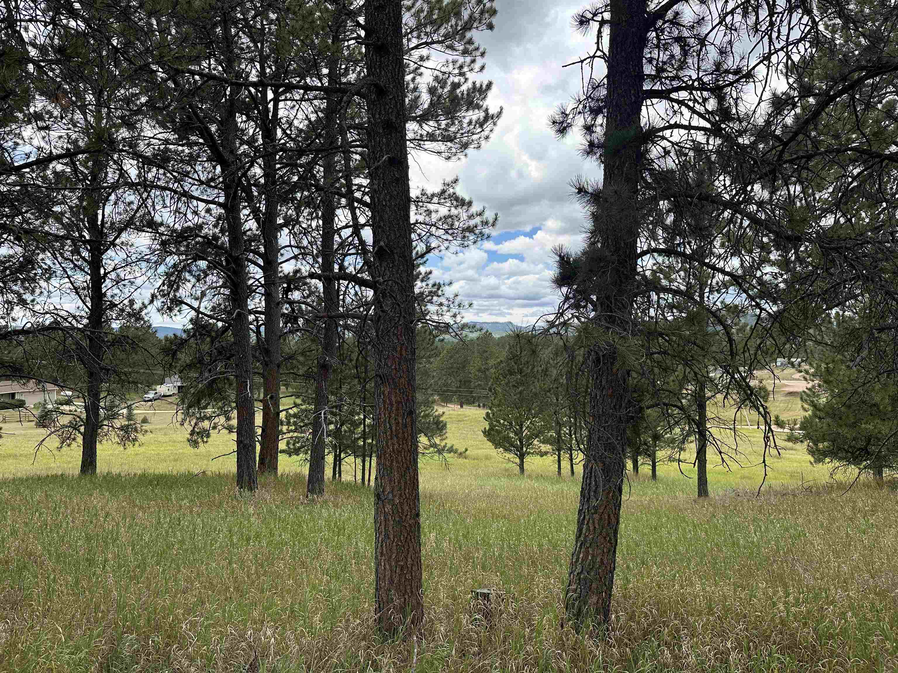 12127 Chickadee Lane