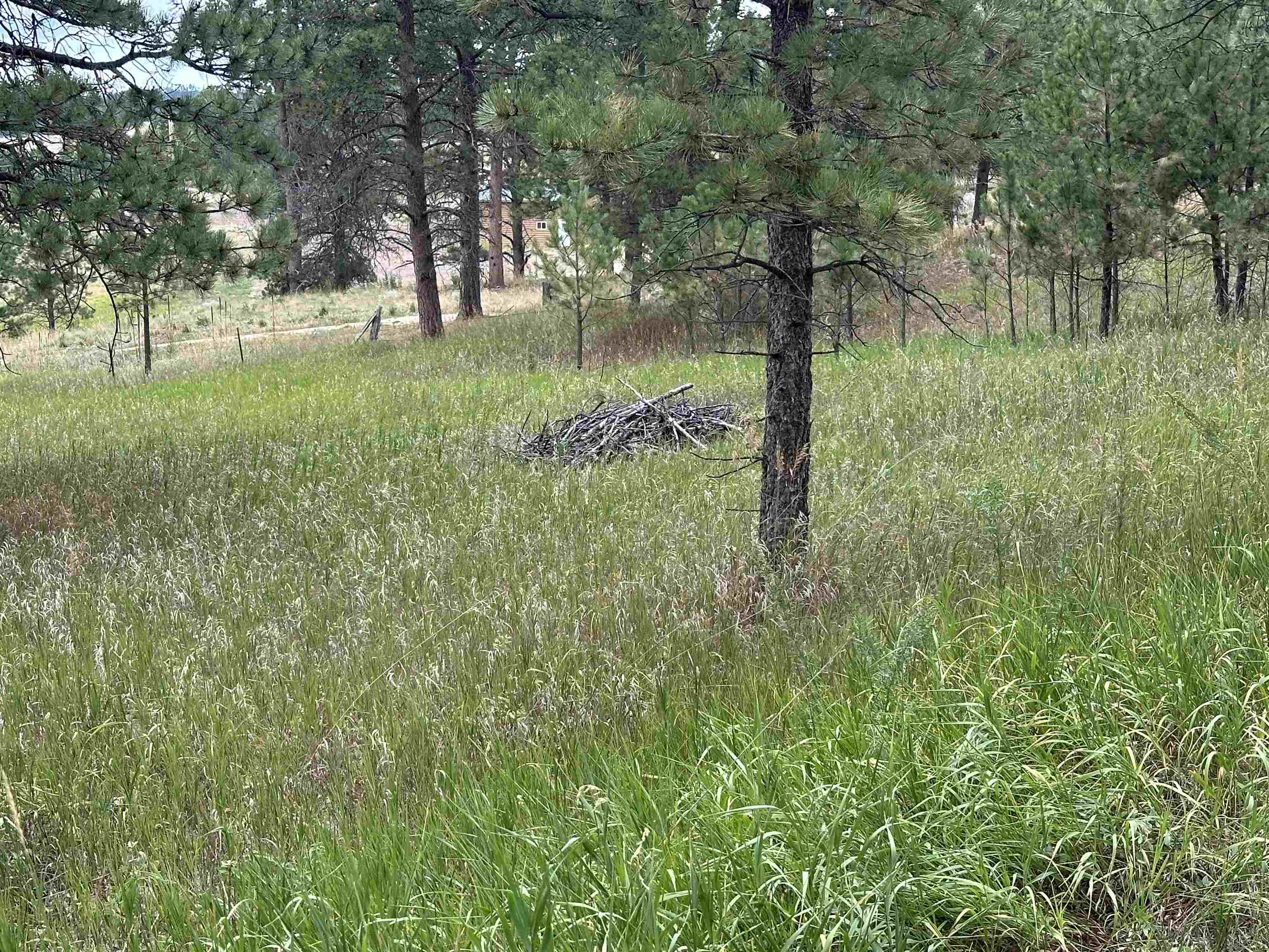 12127 Chickadee Lane