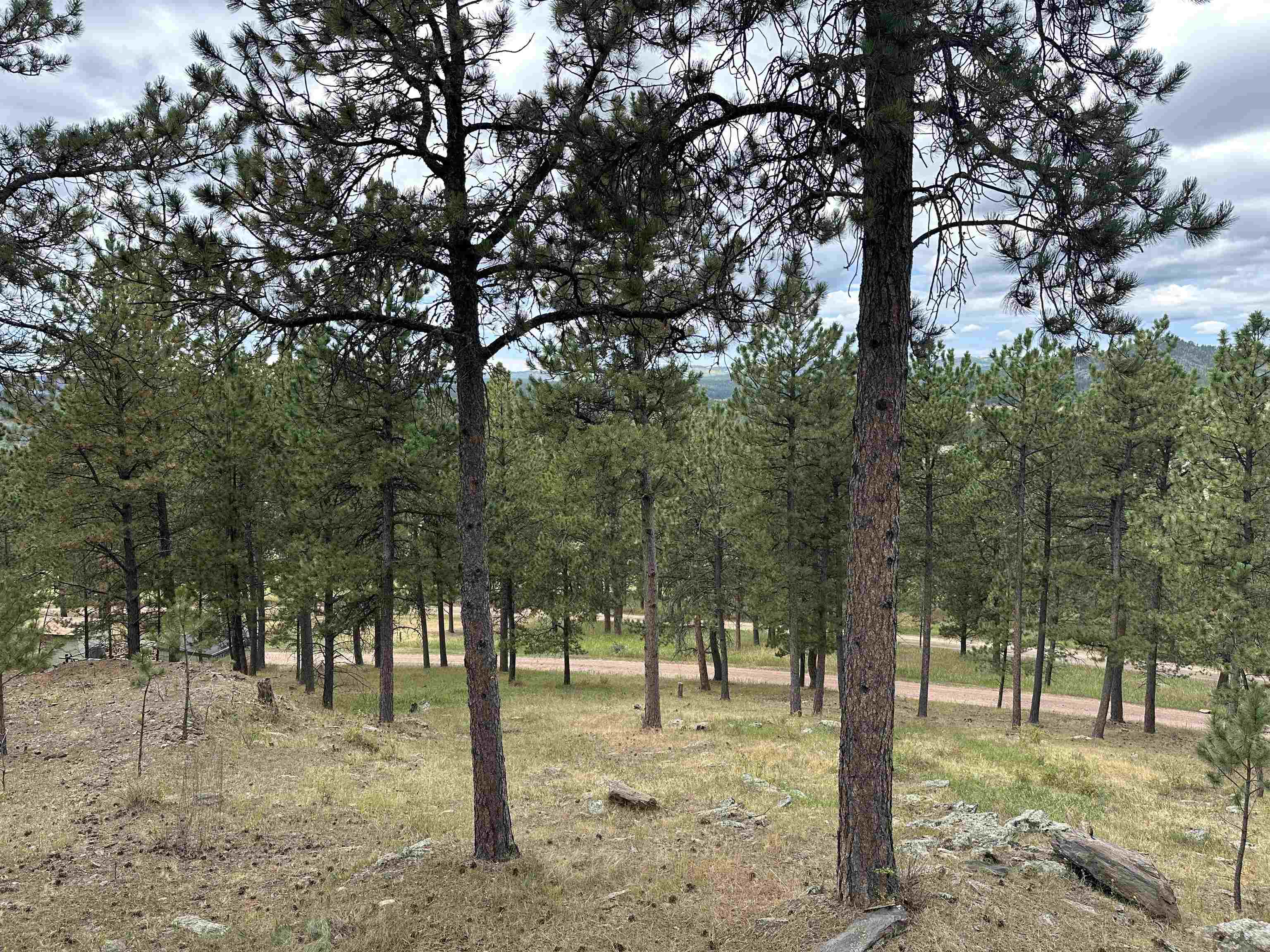 12127 Chickadee Lane