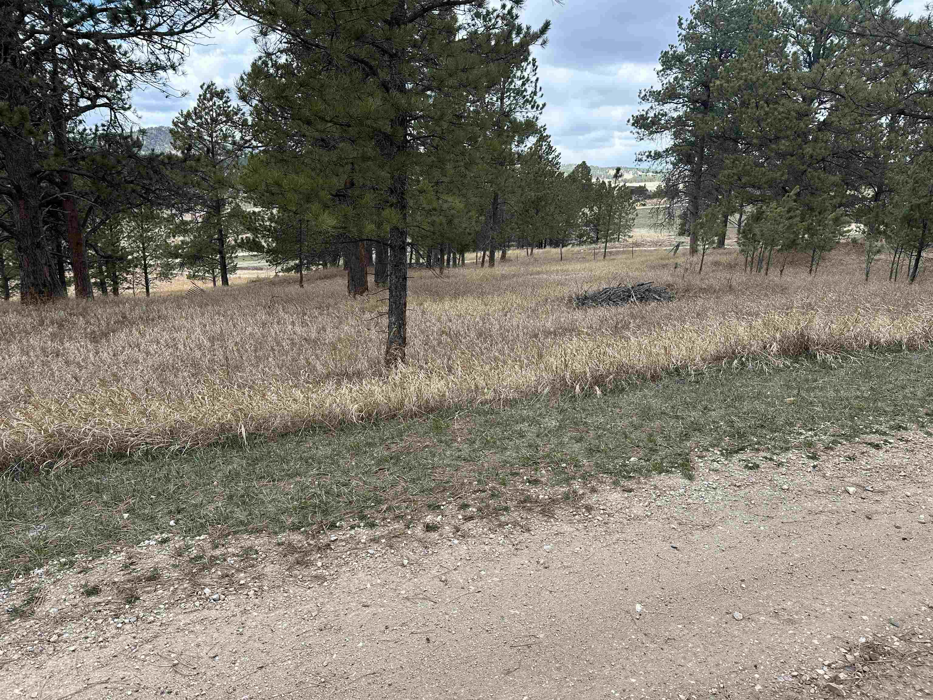 12127 Chickadee Lane